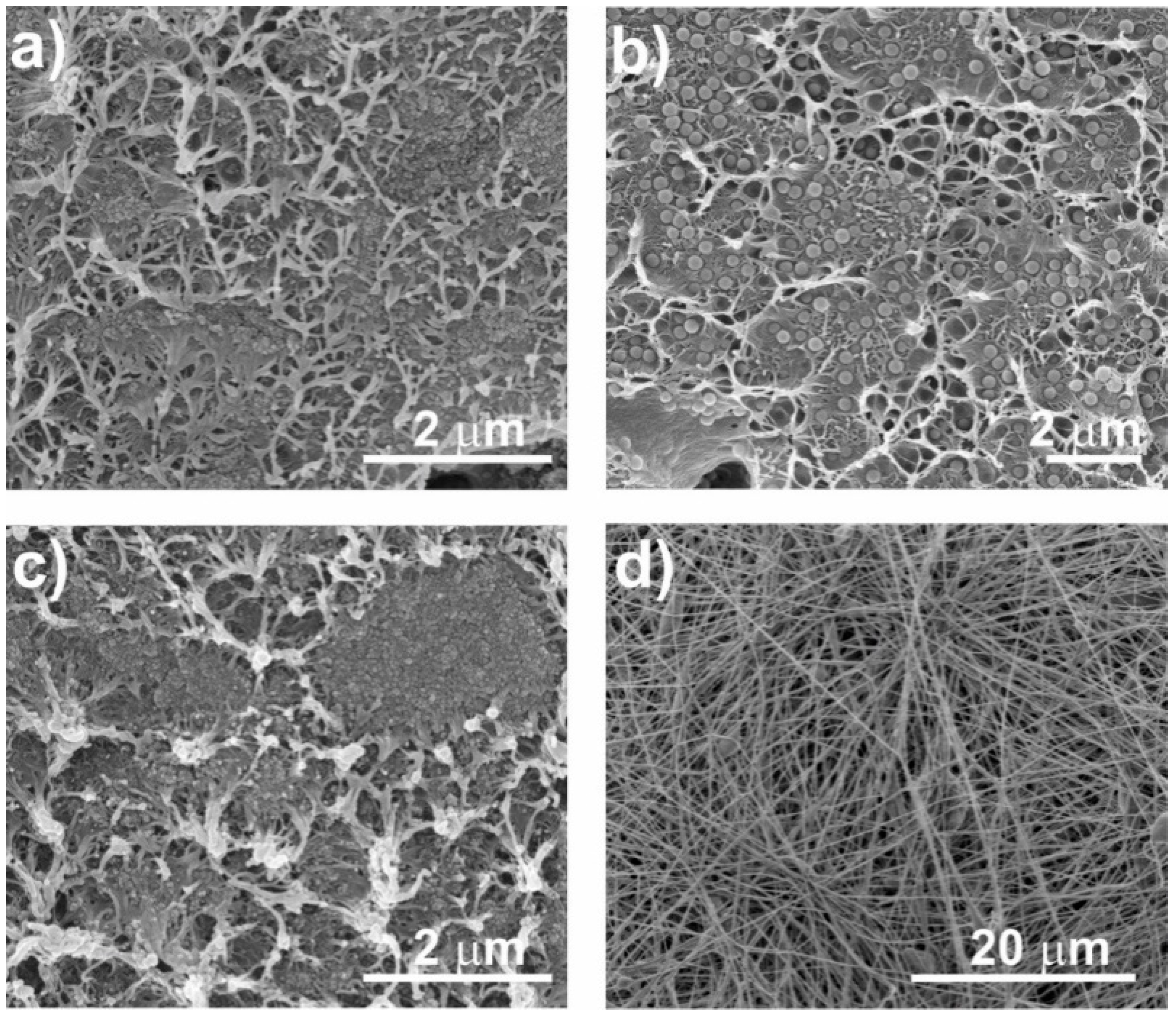 Nanomaterials 08 00933 g003