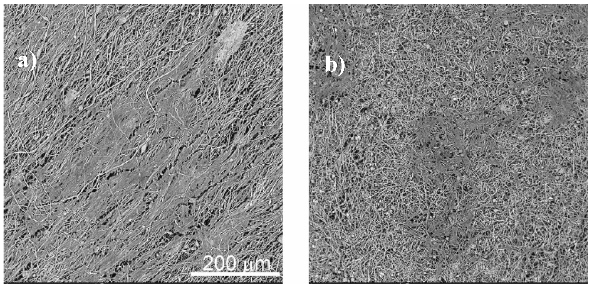 Nanomaterials 08 00933 g013