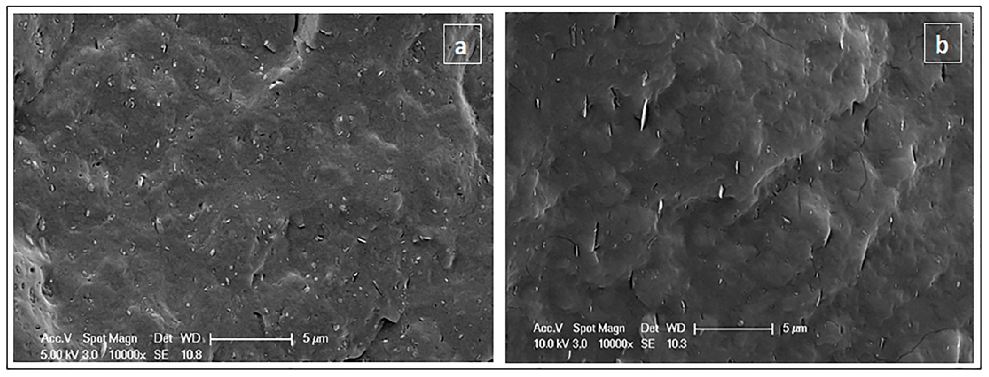 Nanomaterials 08 00940 g002 Nanomaterials 08 00940 g002