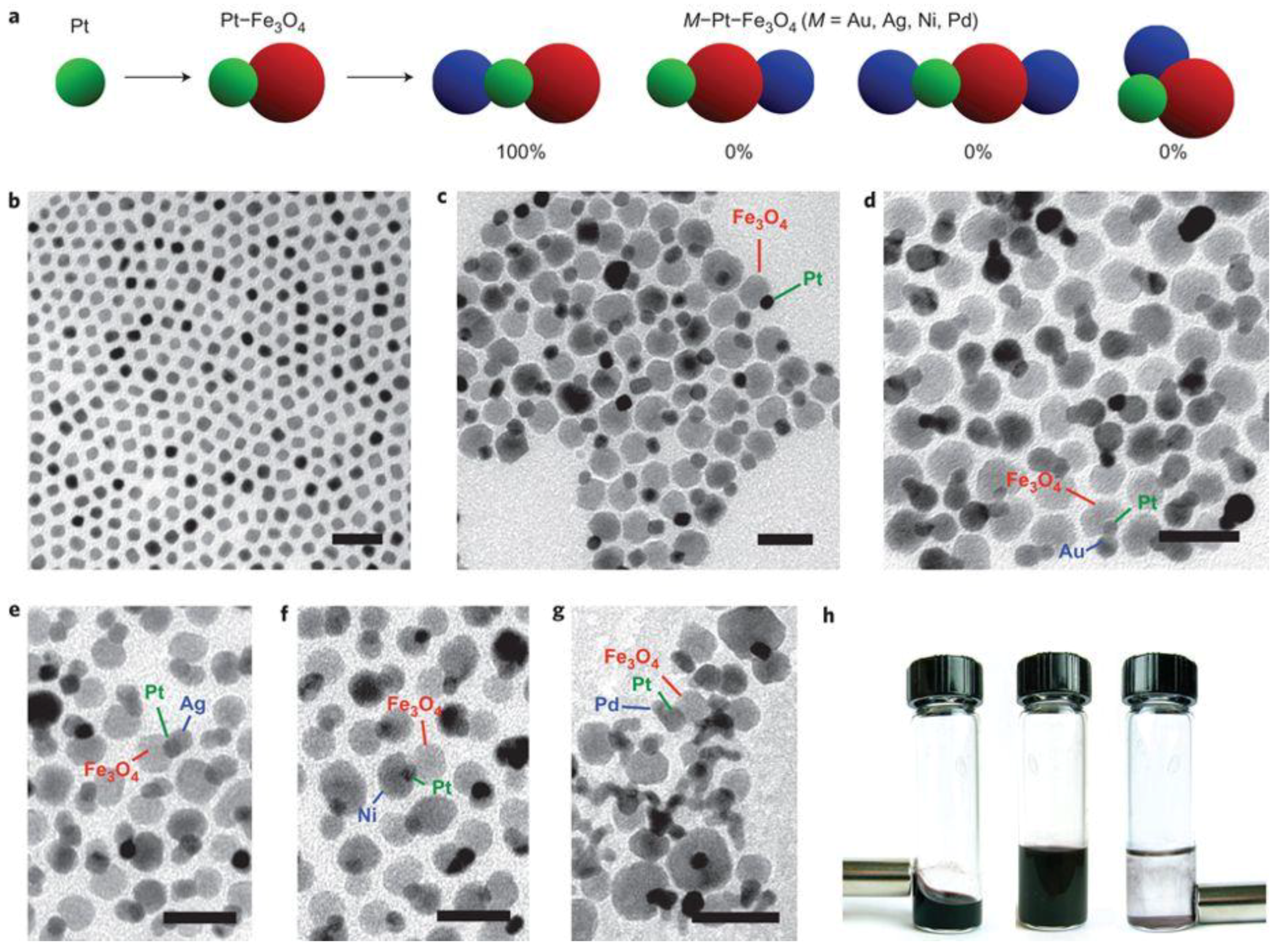 Nanomaterials 08 00949 g004