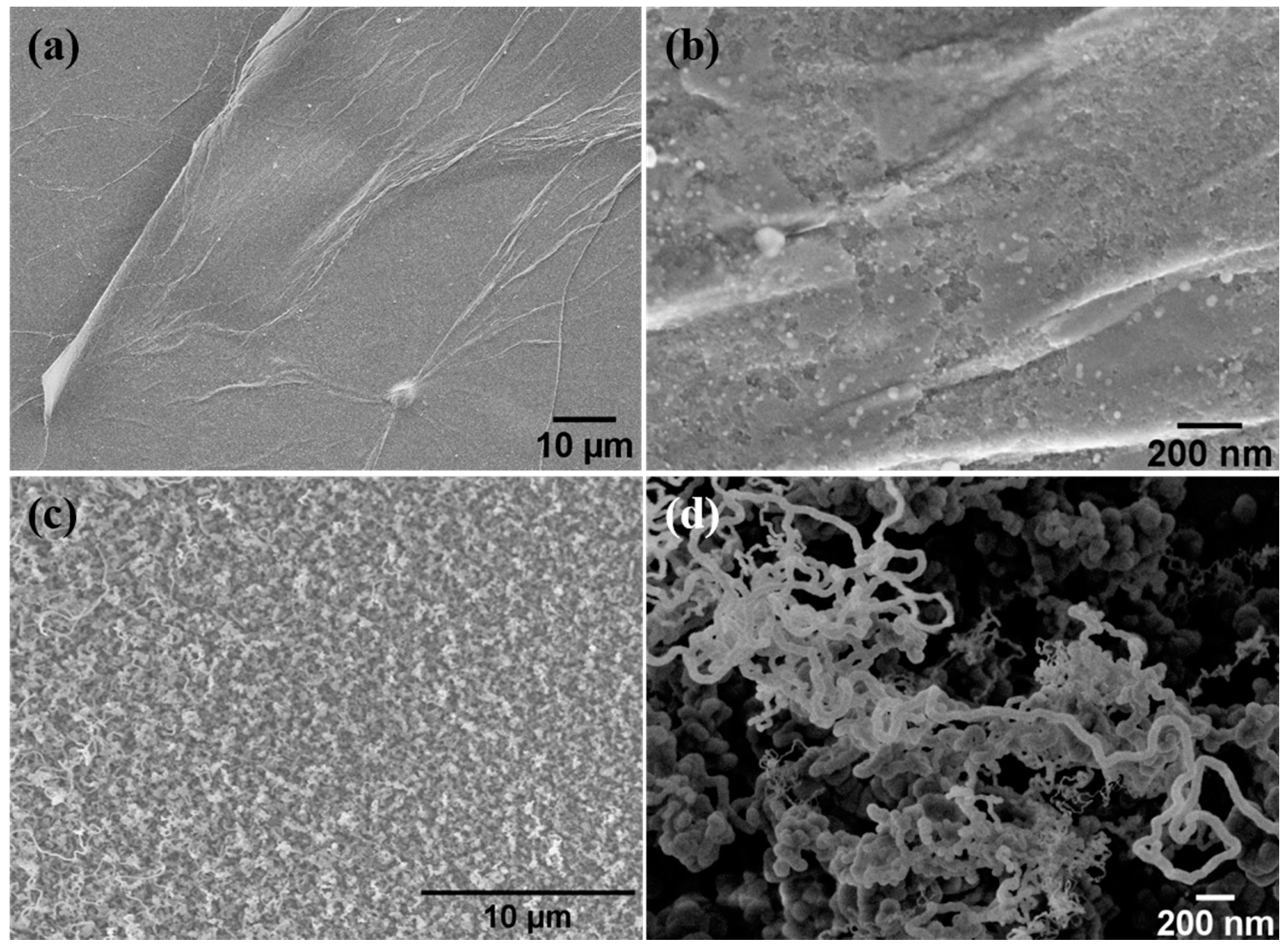 Nanomaterials 08 00954 g003 Nanomaterials 08 00954 g003