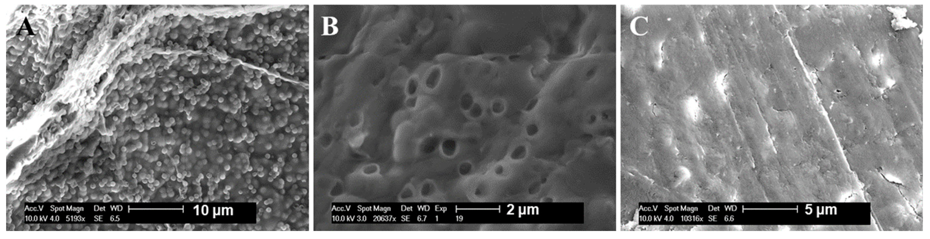 Nanomaterials 08 00957 g003