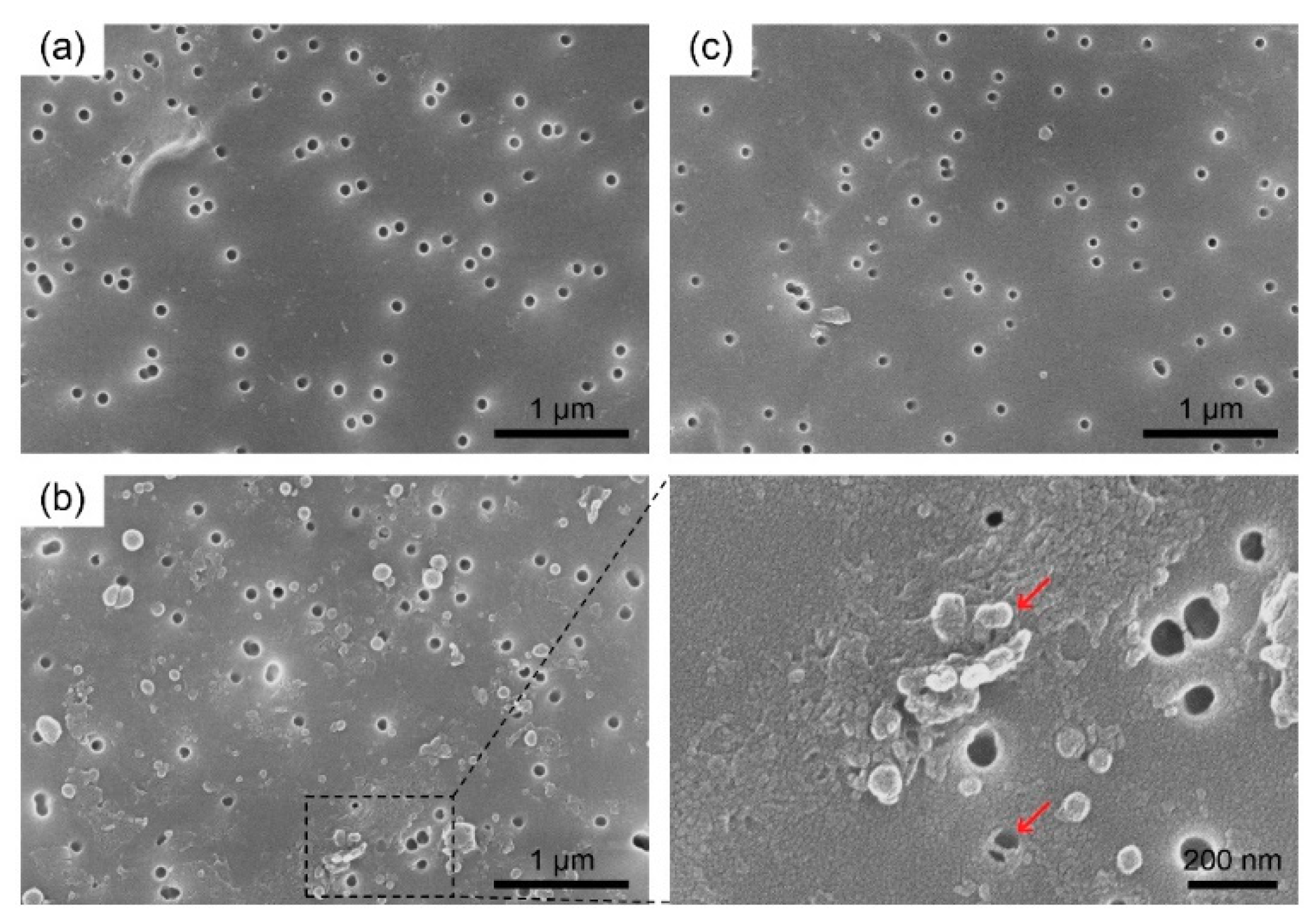 Nanomaterials 08 00959 g003 550