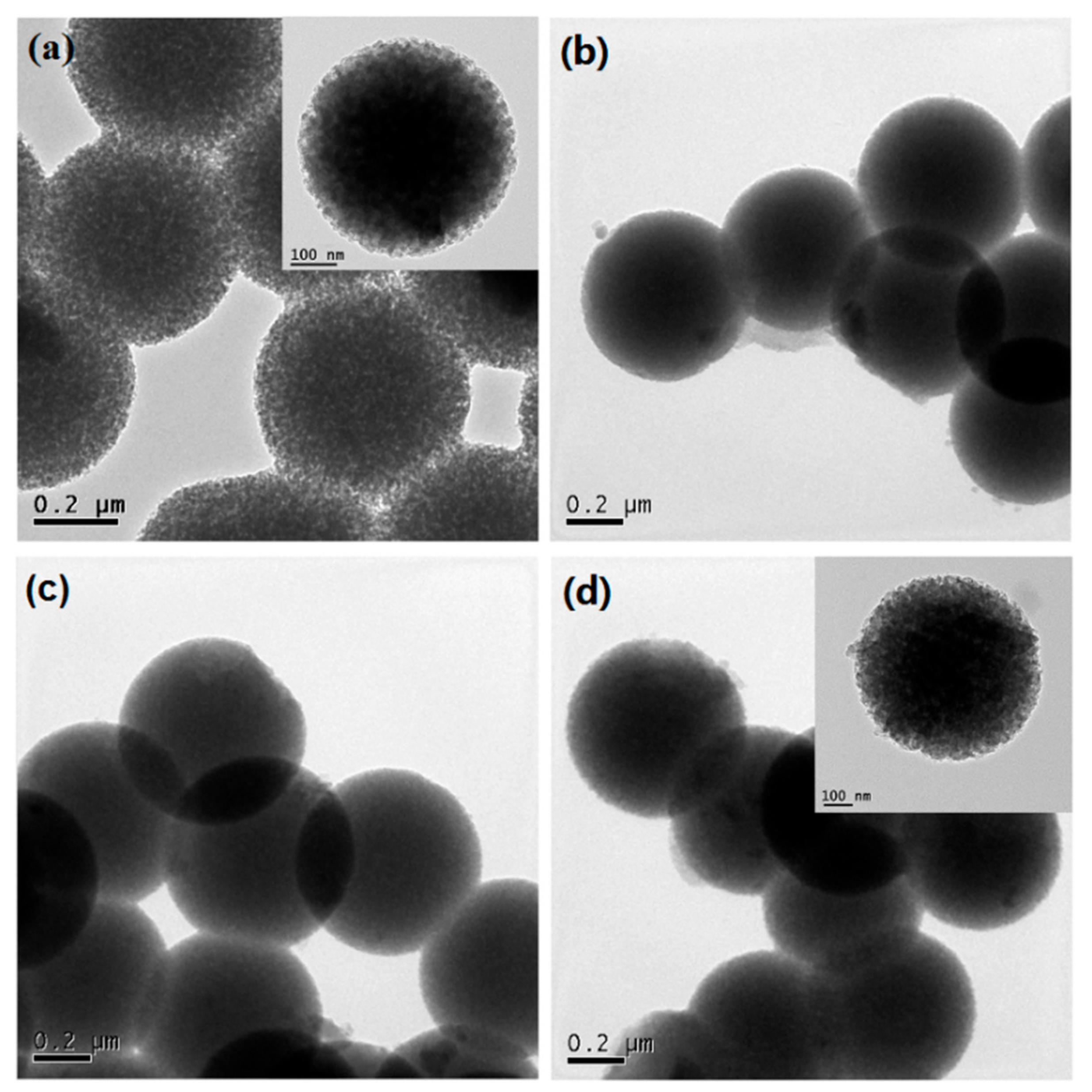 Nanomaterials 08 00961 g001