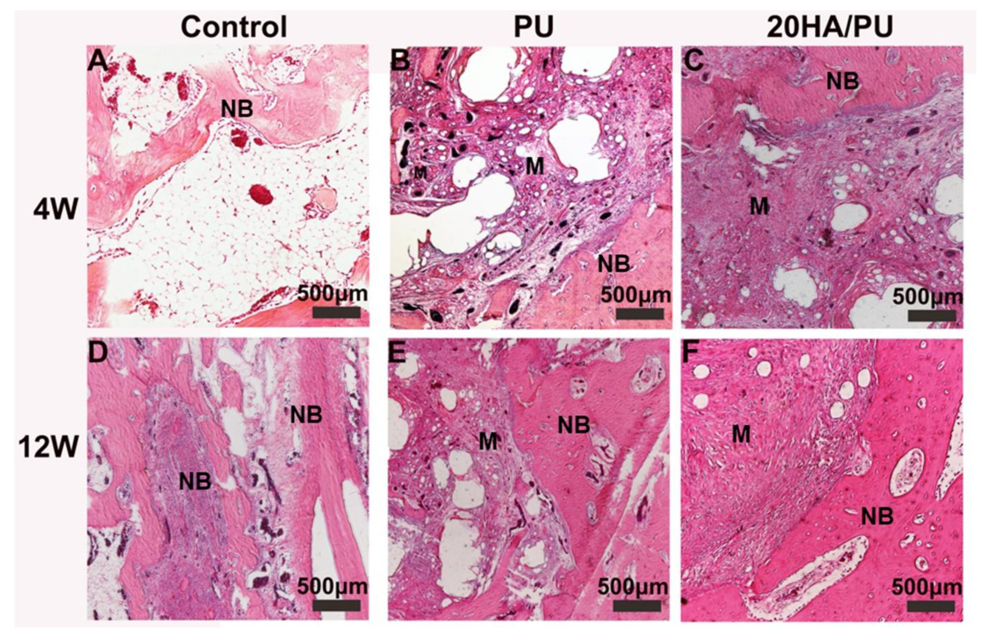 Nanomaterials 08 00972 g005