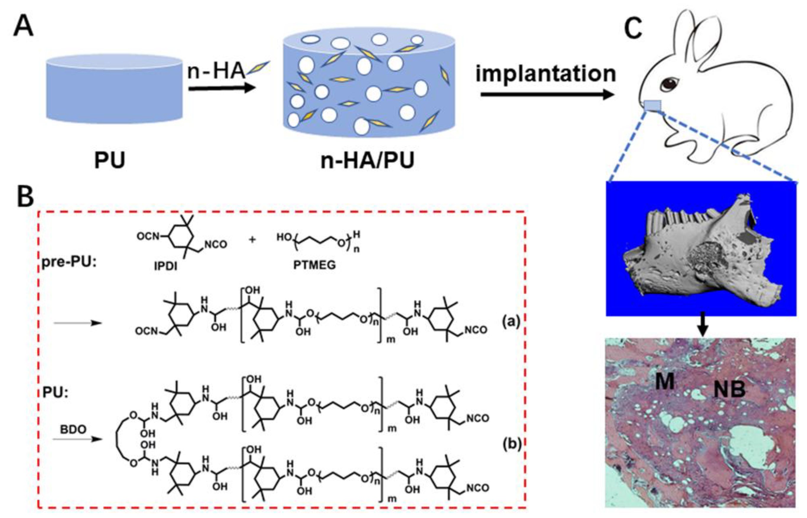Nanomaterials 08 00972 sch001