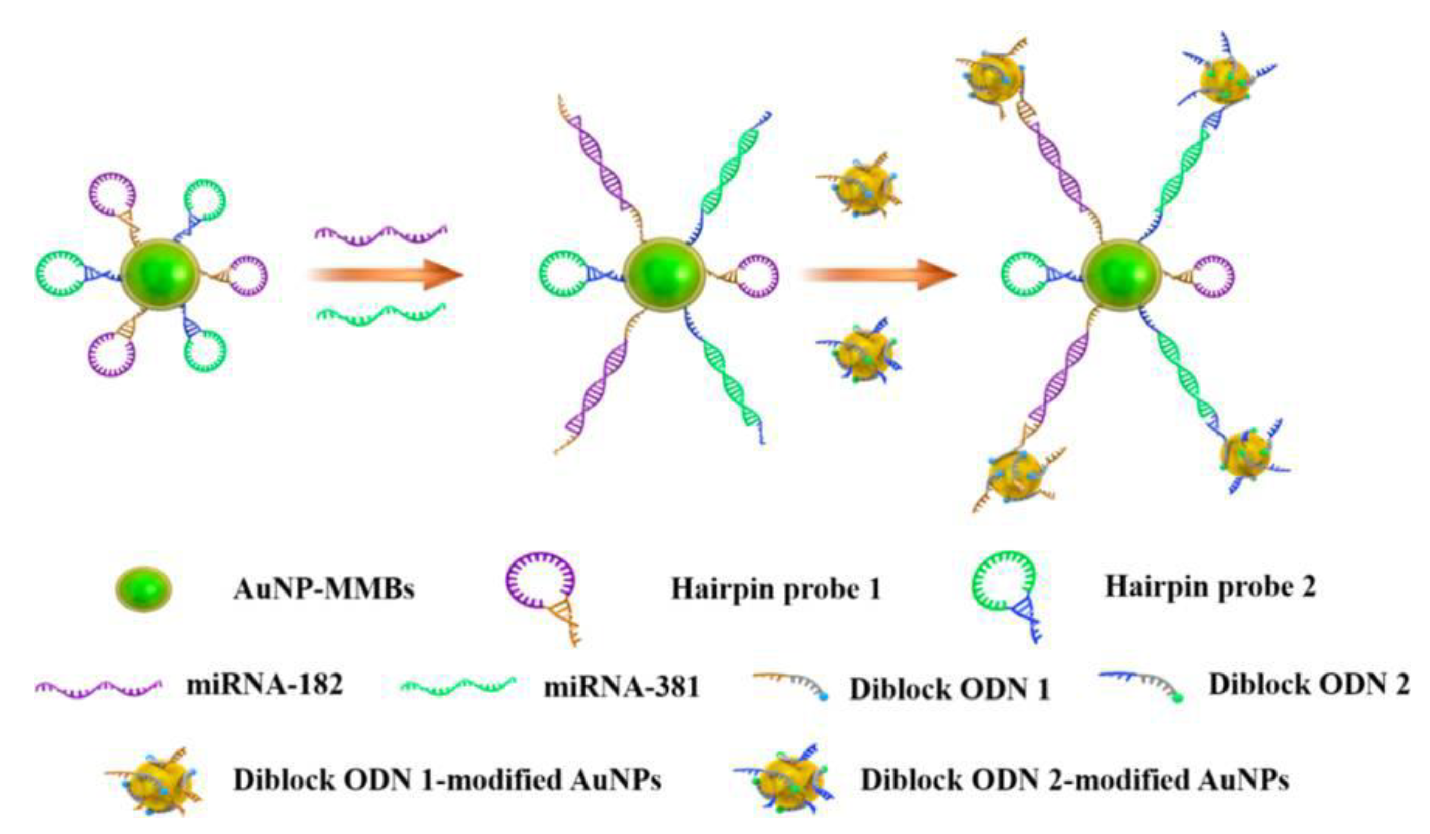 Nanomaterials 08 00977 g007 Nanomaterials 08 00977 g007