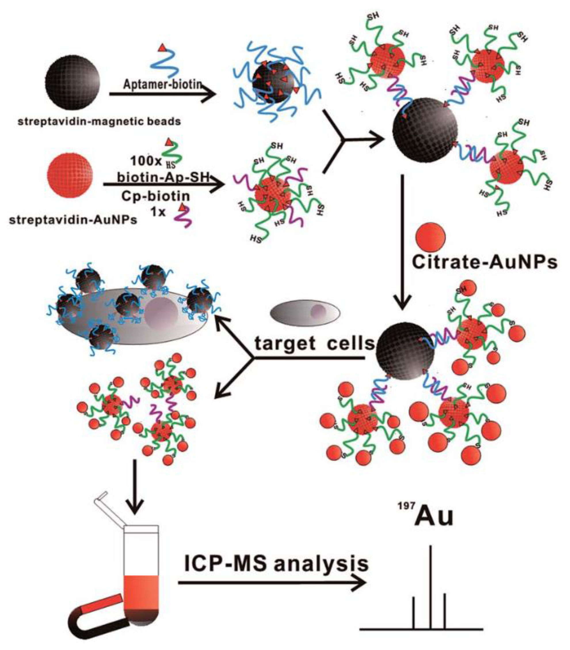 Nanomaterials 08 00977 g010 Nanomaterials 08 00977 g010