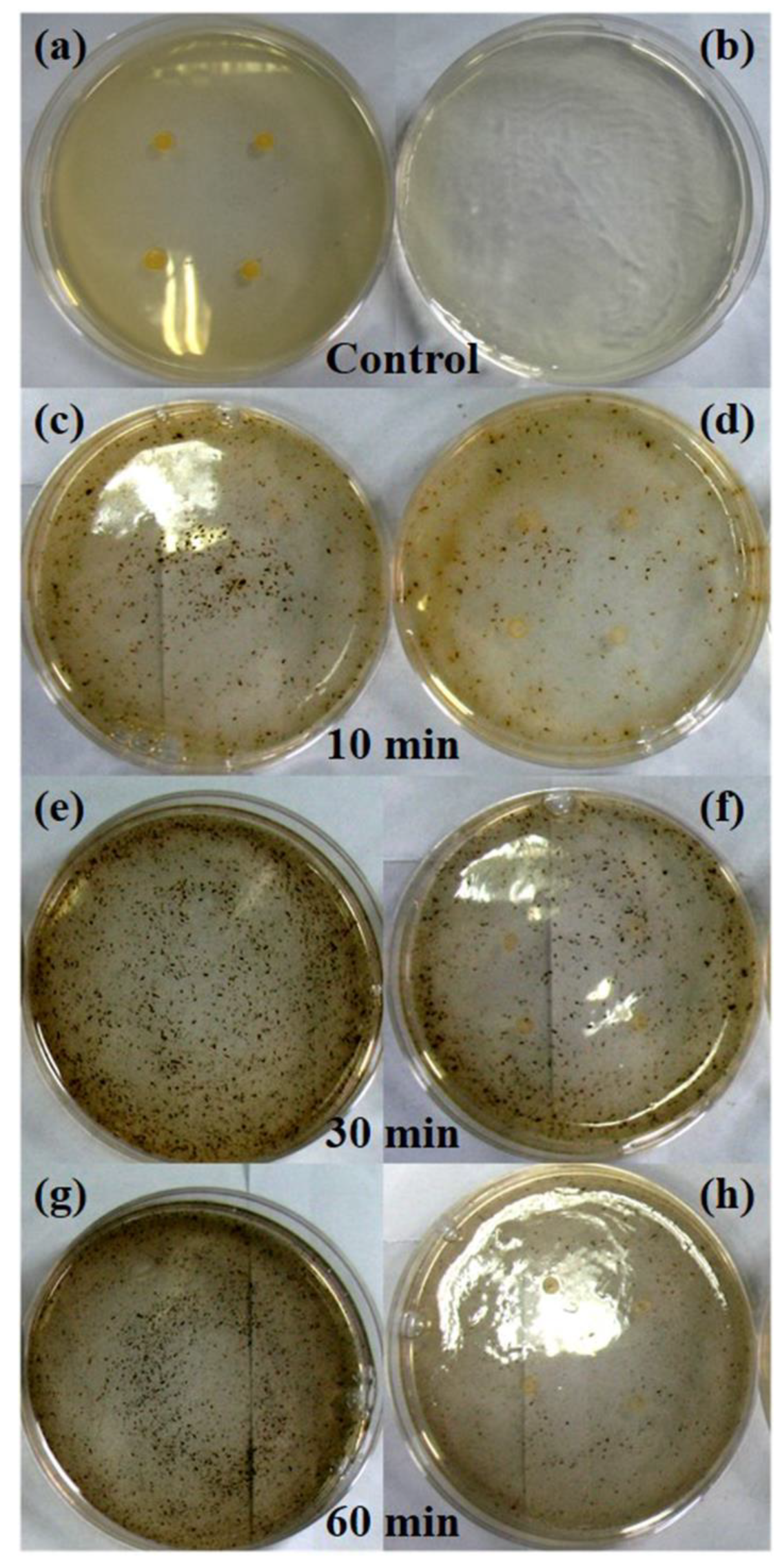 Nanomaterials 08 00978 g007 550