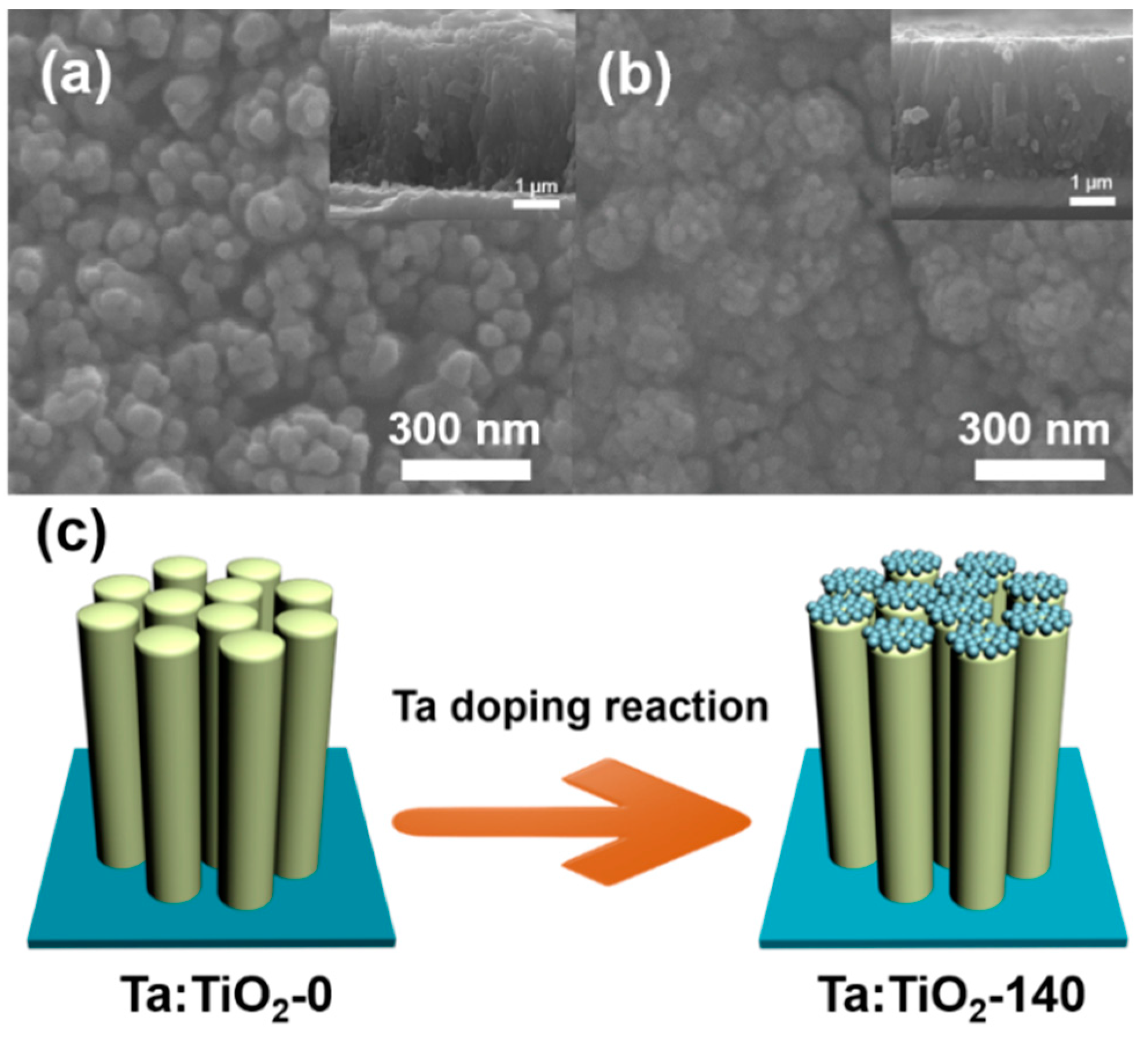 Nanomaterials 08 00983 g001