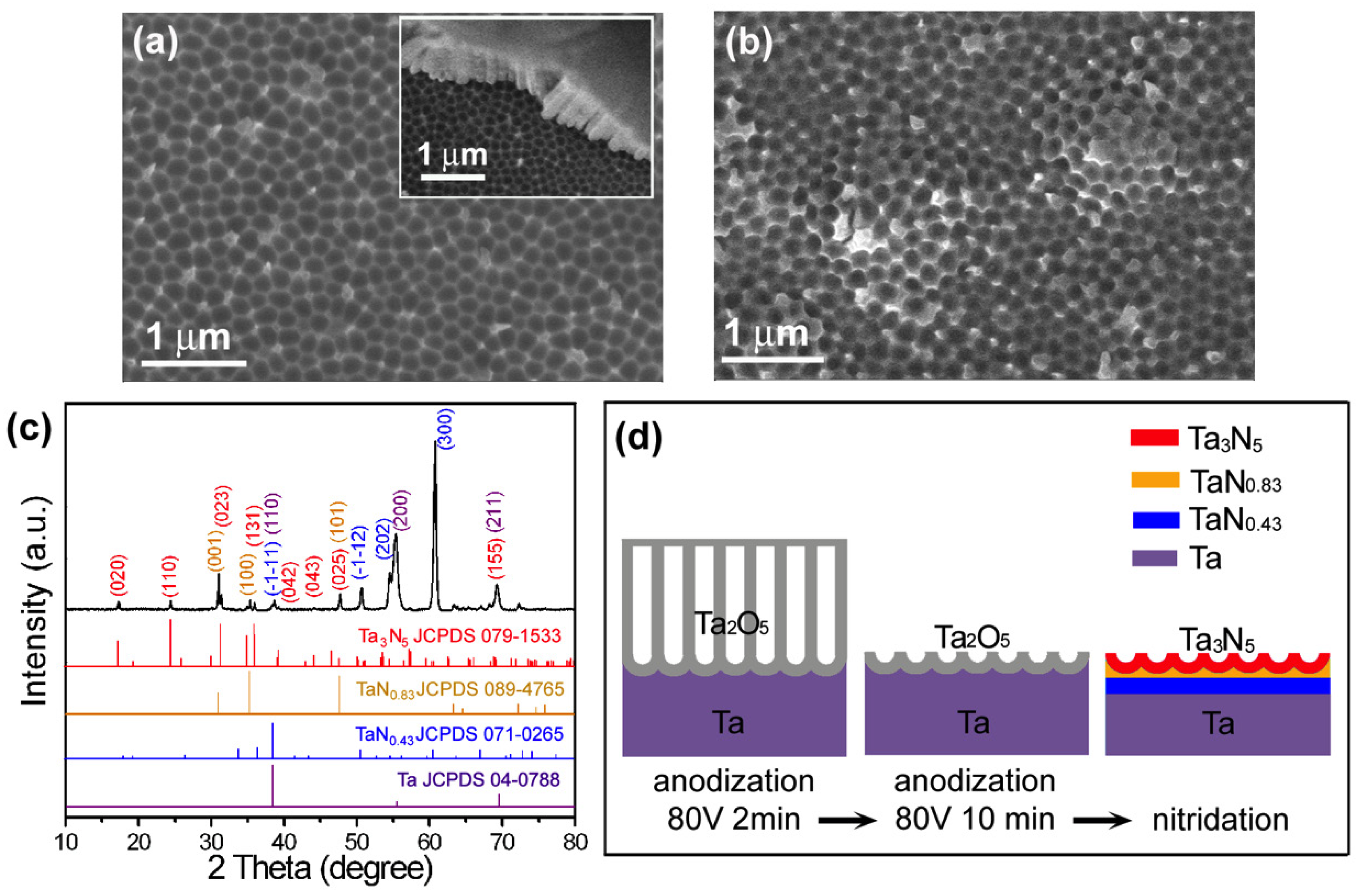 Nanomaterials 08 00990 g003 Nanomaterials 08 00990 g003