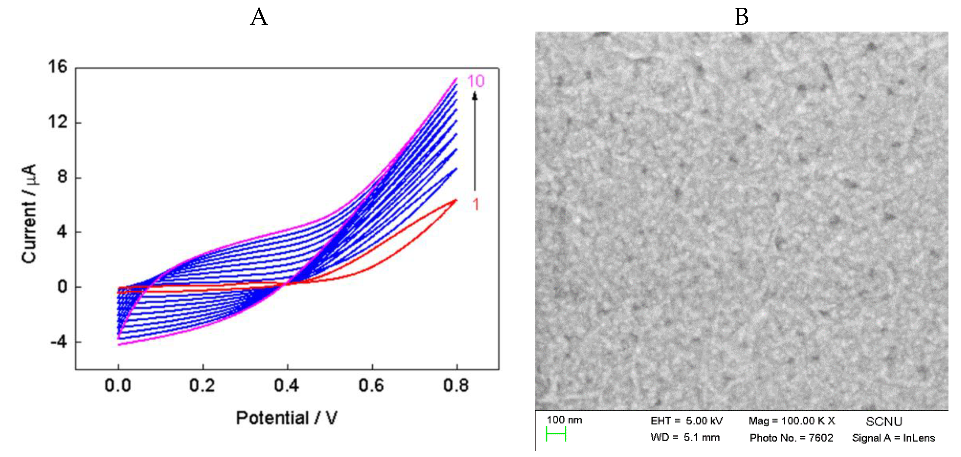 Nanomaterials 08 00993 g002