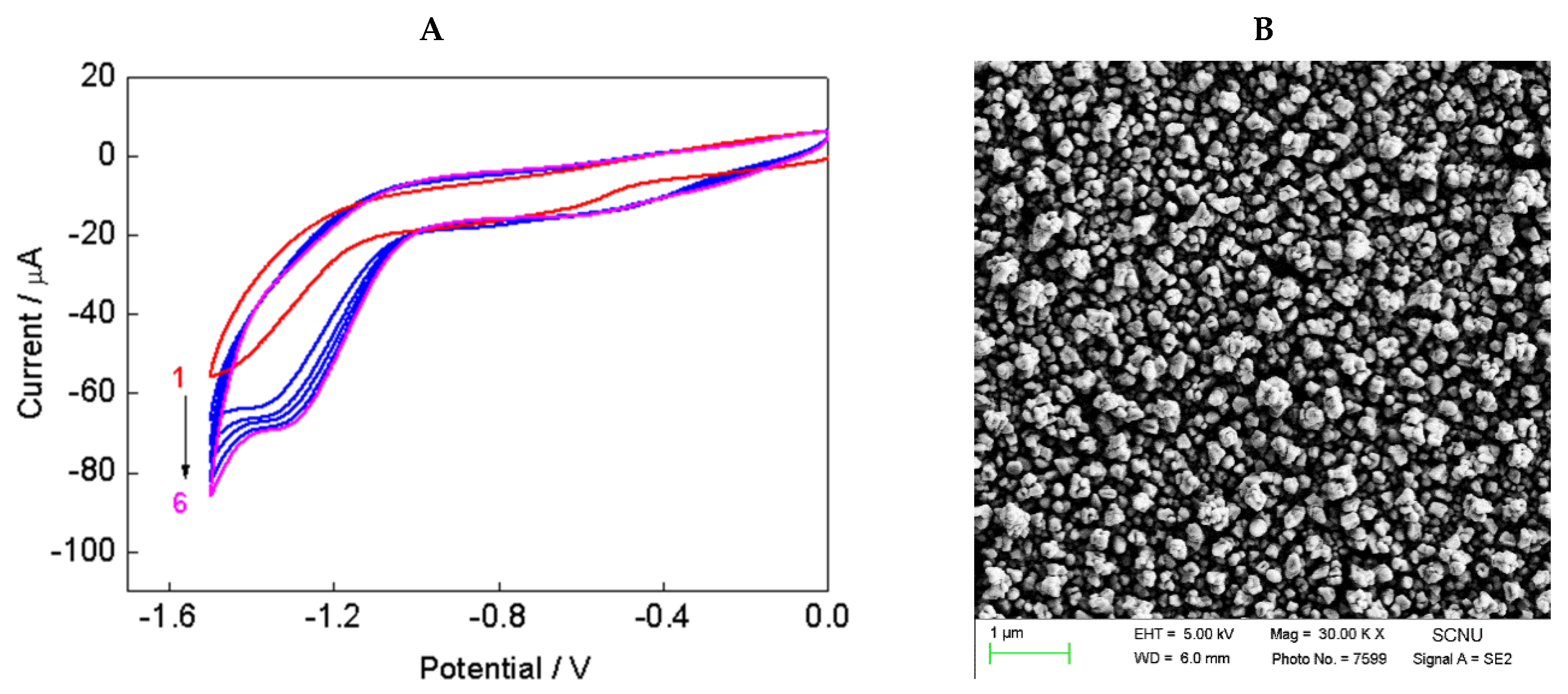 Nanomaterials 08 00993 g003