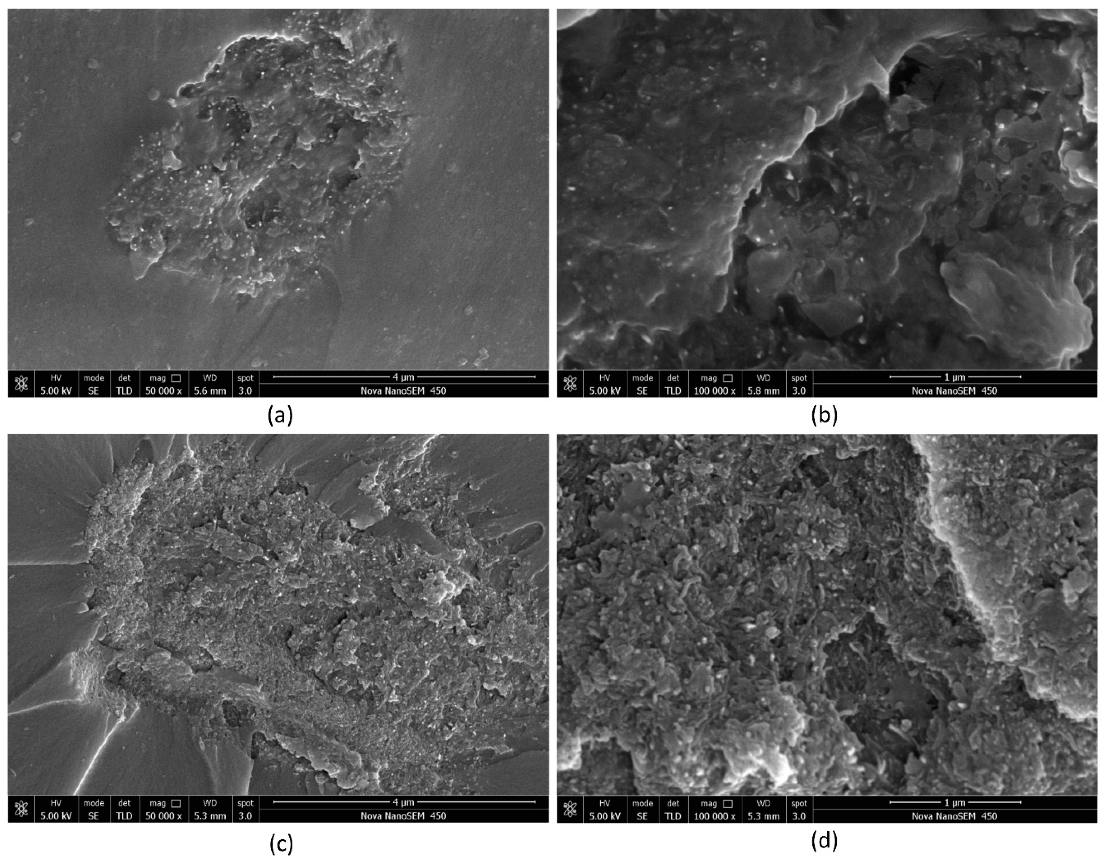 Nanomaterials 08 00996 g003 Nanomaterials 08 00996 g003
