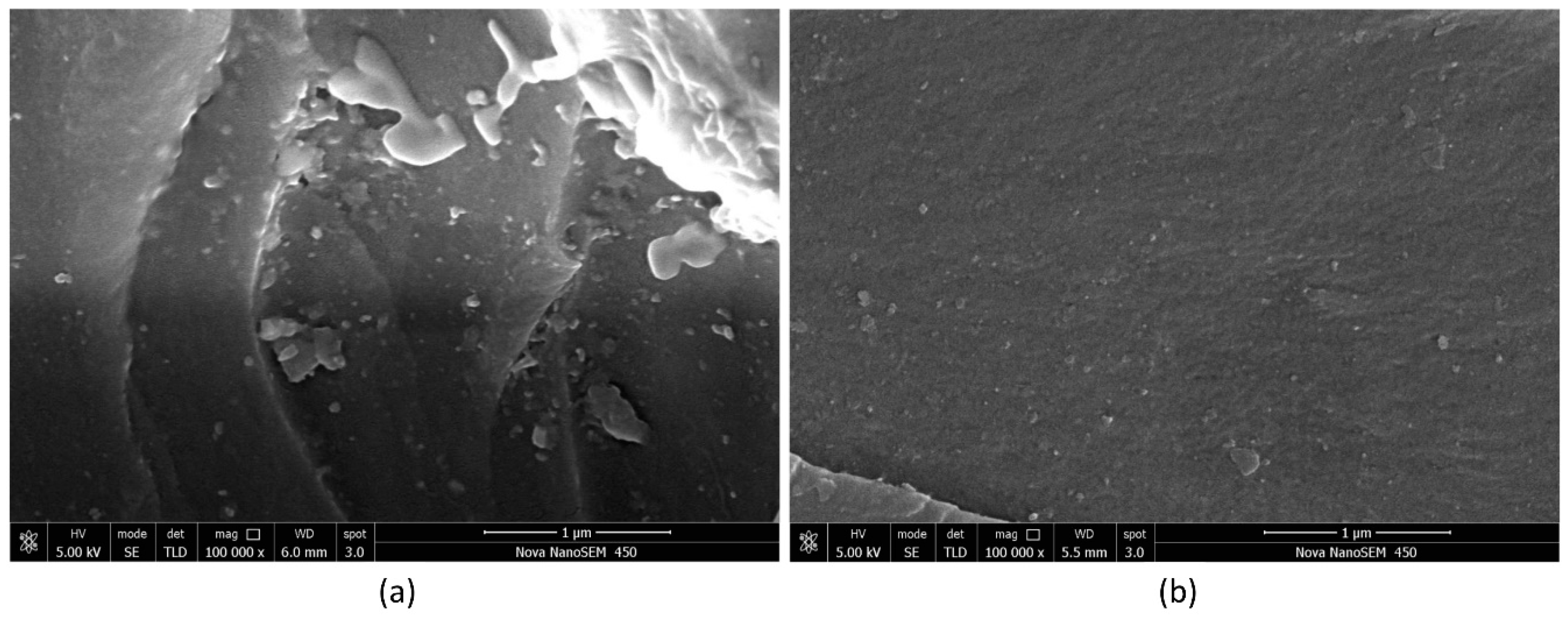 Nanomaterials 08 00996 g004 Nanomaterials 08 00996 g004
