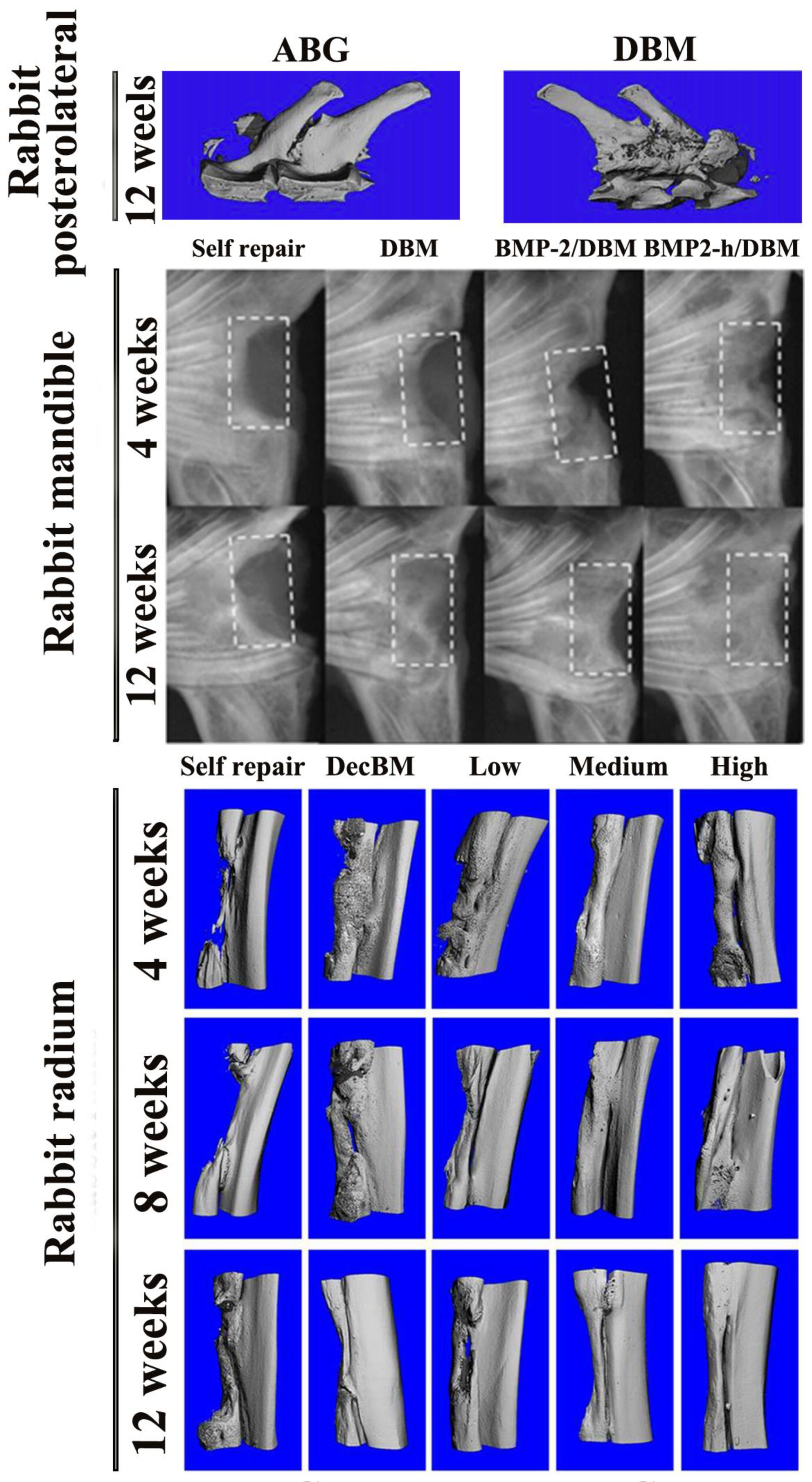 Nanomaterials 08 00999 g003