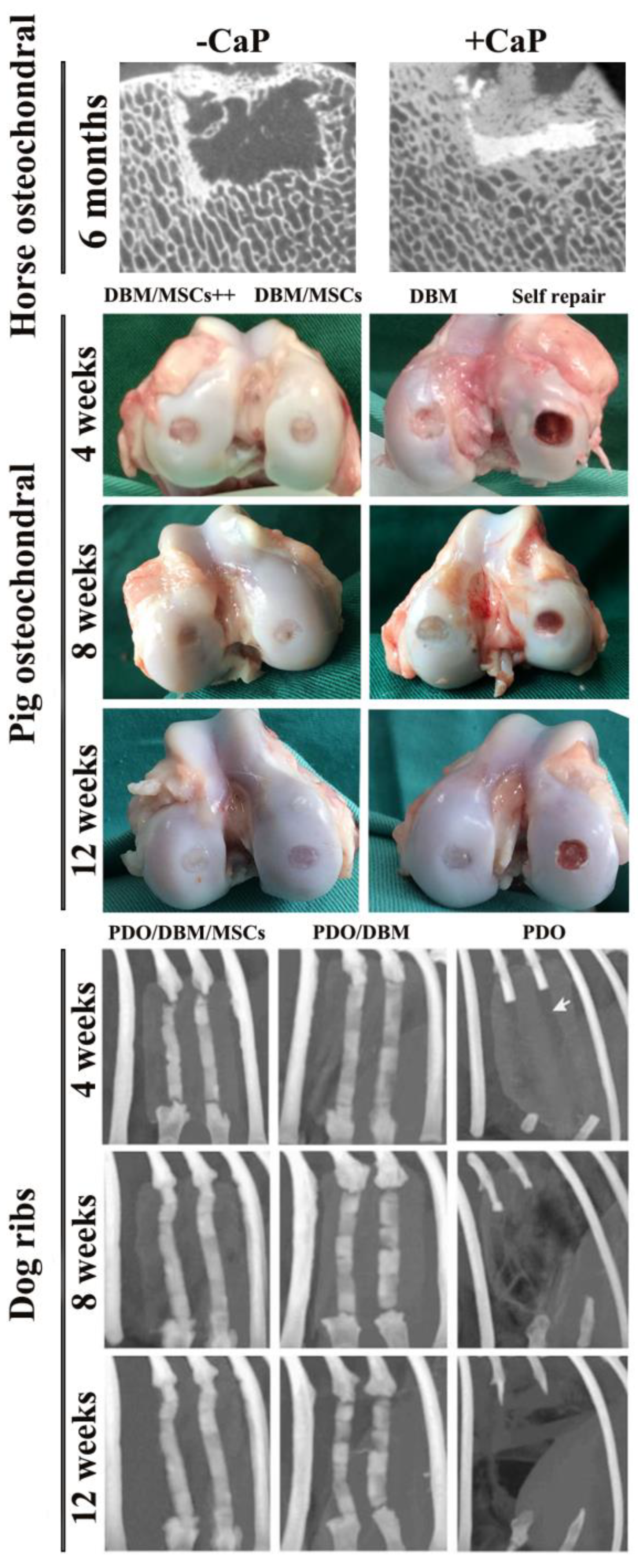 Nanomaterials 08 00999 g004
