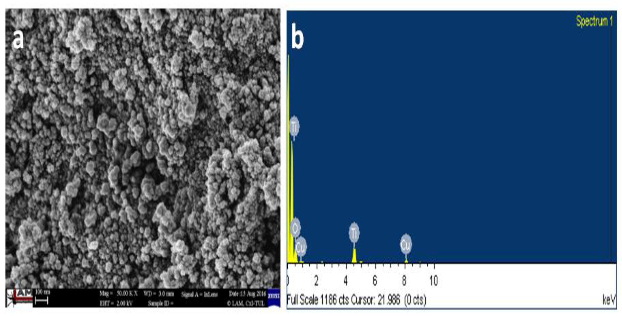 Nanomaterials 08 01002 g005 Nanomaterials 08 01002 g005
