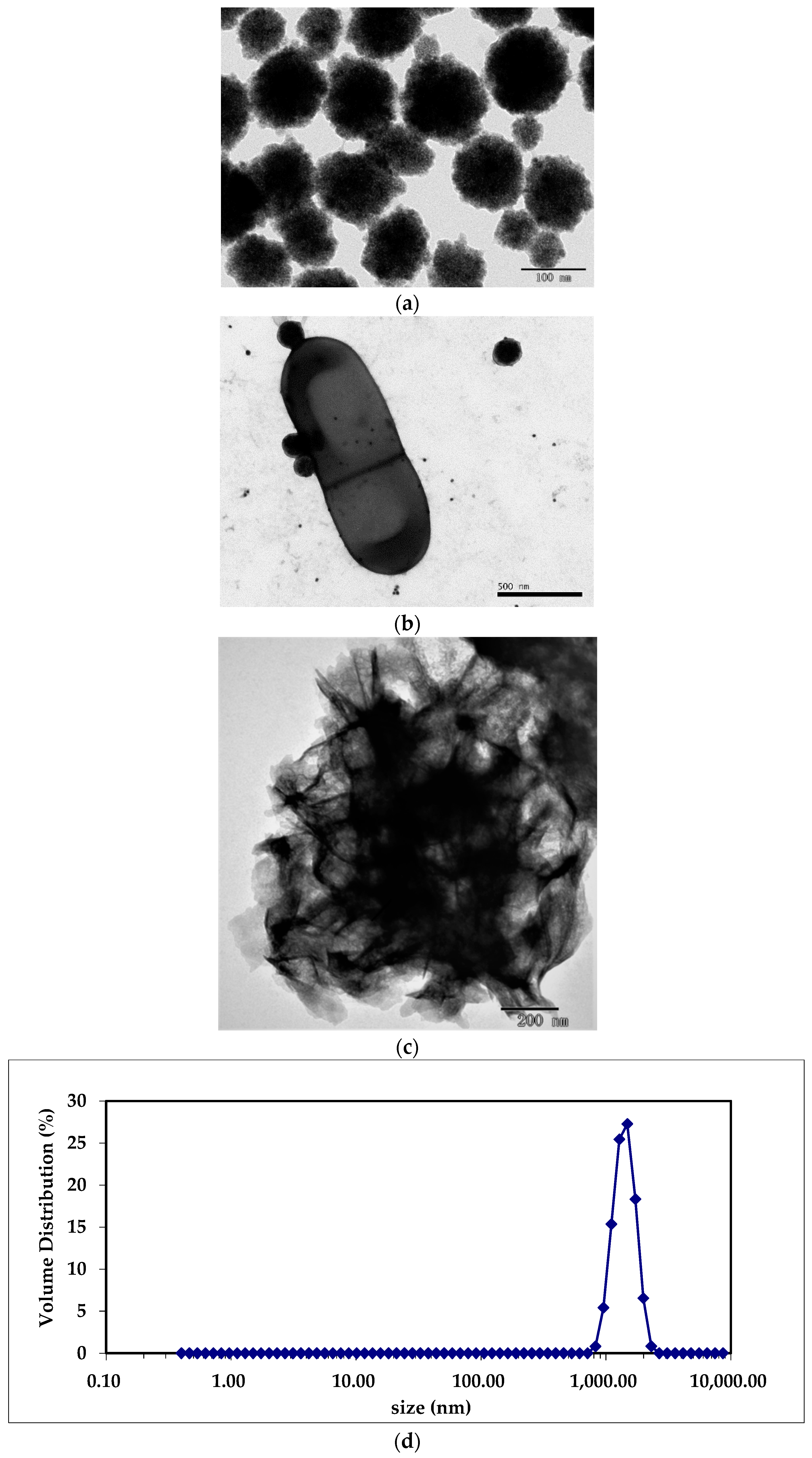 Nanomaterials 08 01006 g001 550