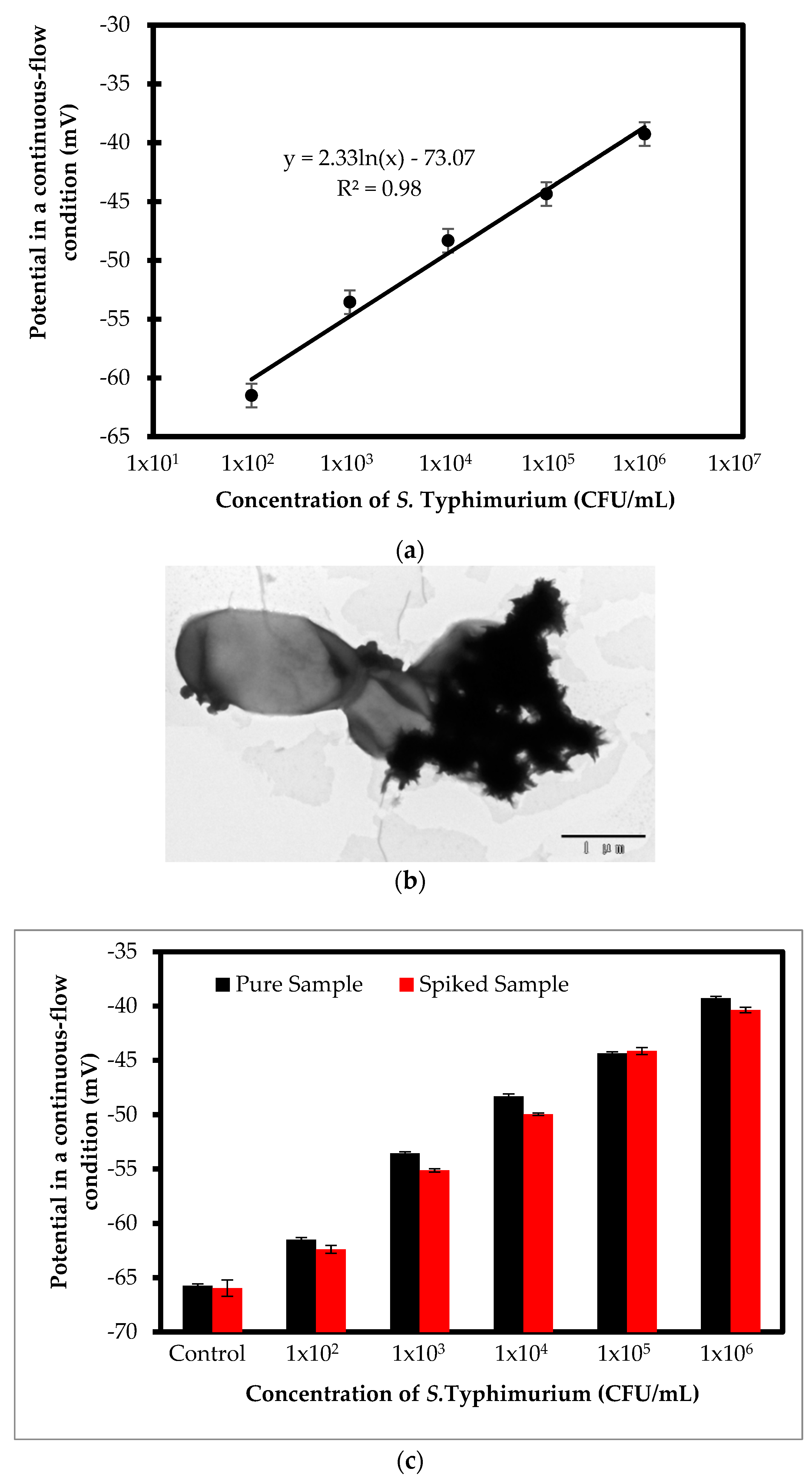 Nanomaterials 08 01006 g004 550