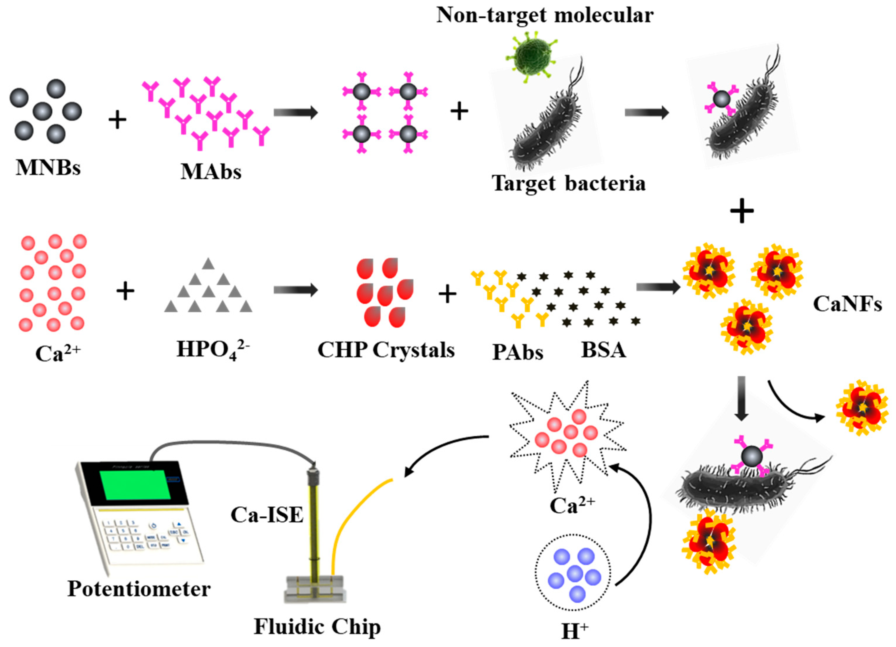 Nanomaterials 08 01006 sch001 550
