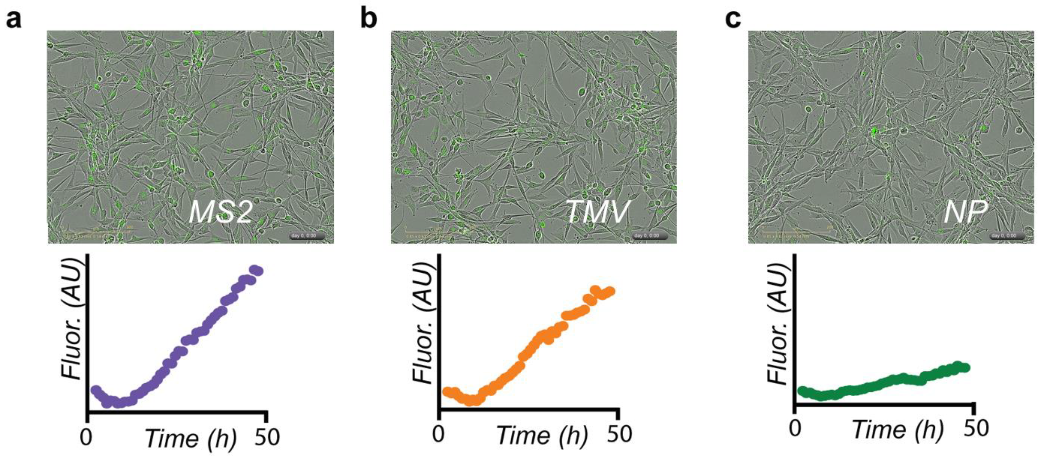 Nanomaterials 08 01007 g004 Nanomaterials 08 01007 g004