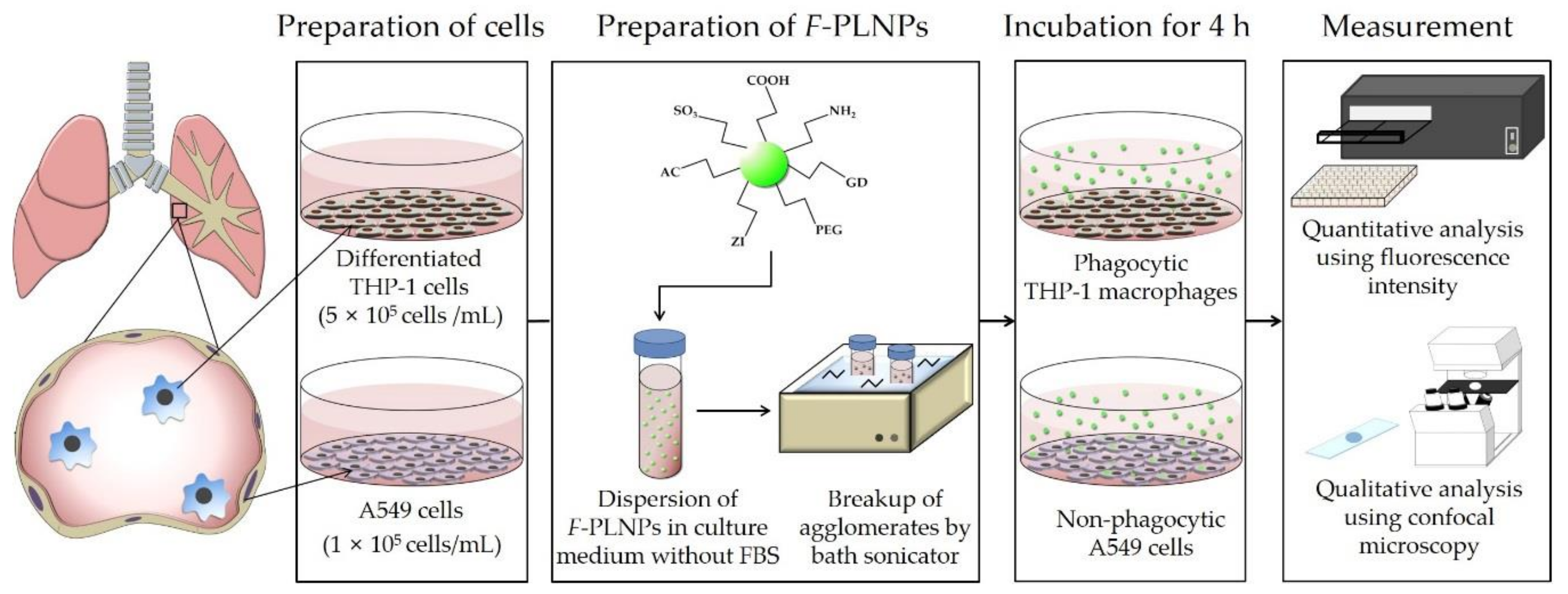 Nanomaterials 08 01028 g001