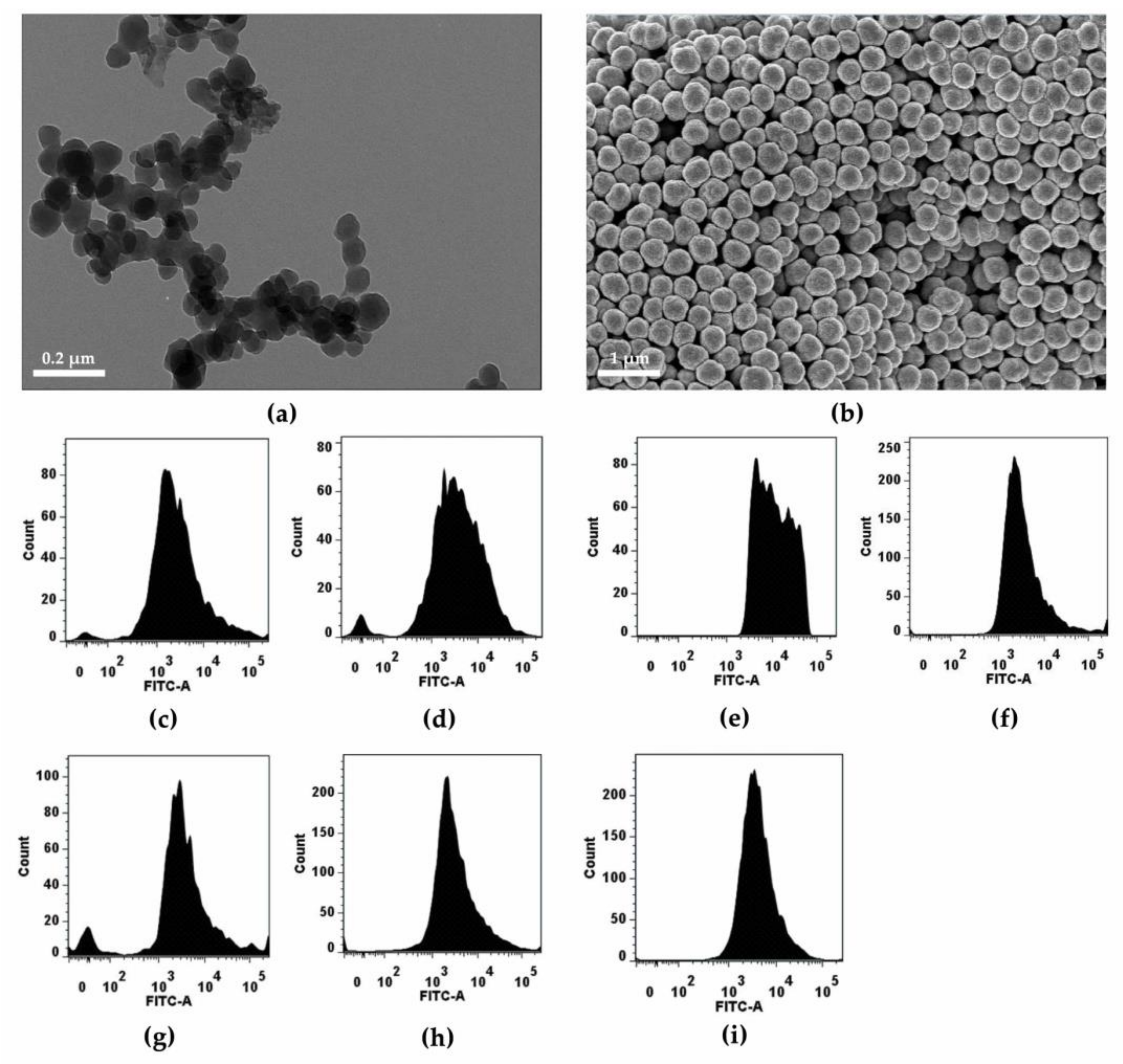 Nanomaterials 08 01028 g002