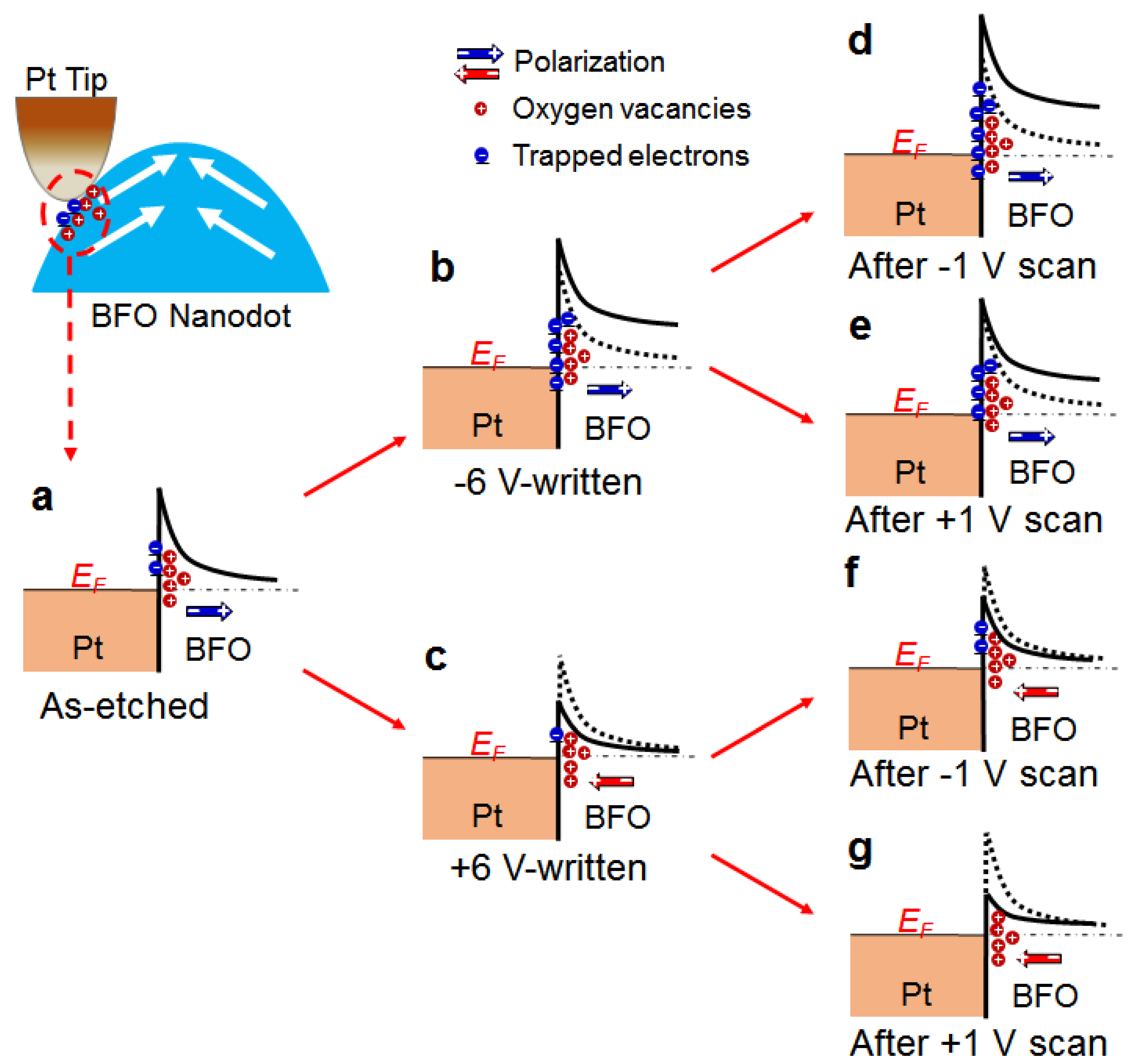 Nanoscale Ring-Shaped Conduction Channels with Memristive
