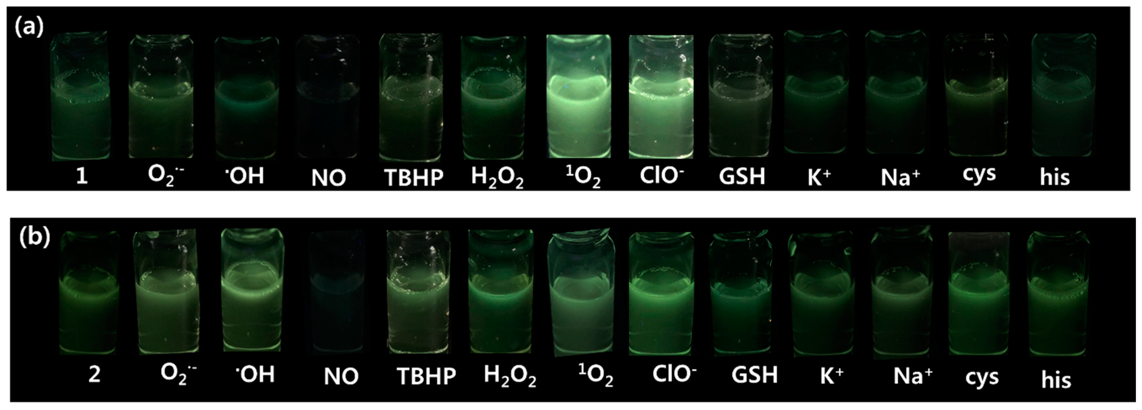 Nanomaterials 08 01034 g003a
