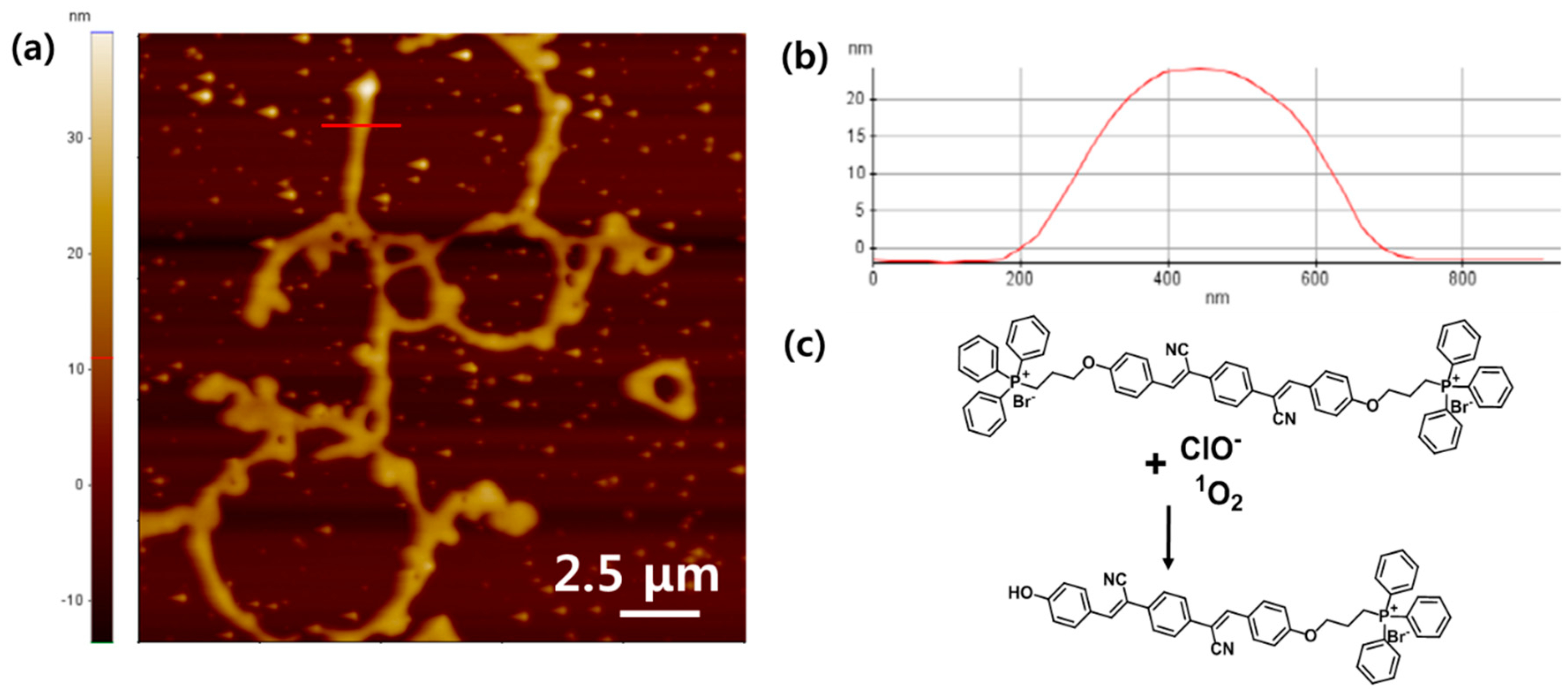 Nanomaterials 08 01034 g005