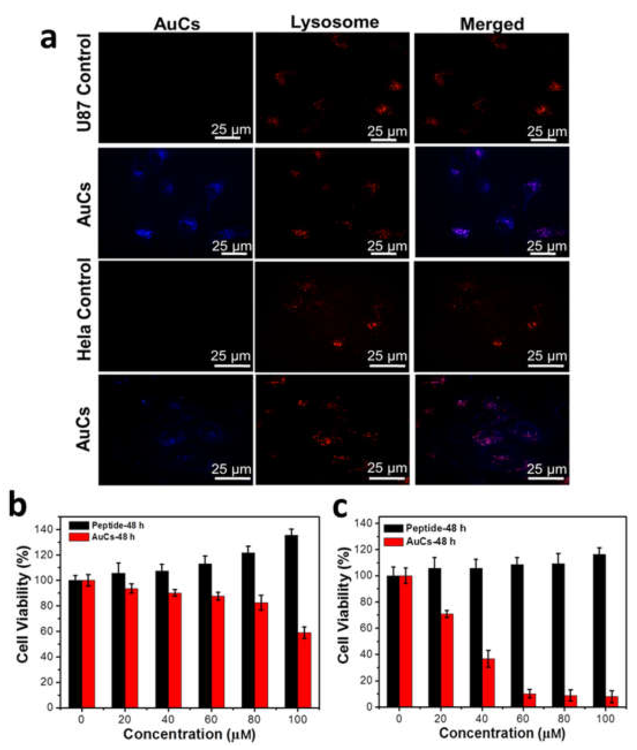 Nanomaterials 08 01040 g003