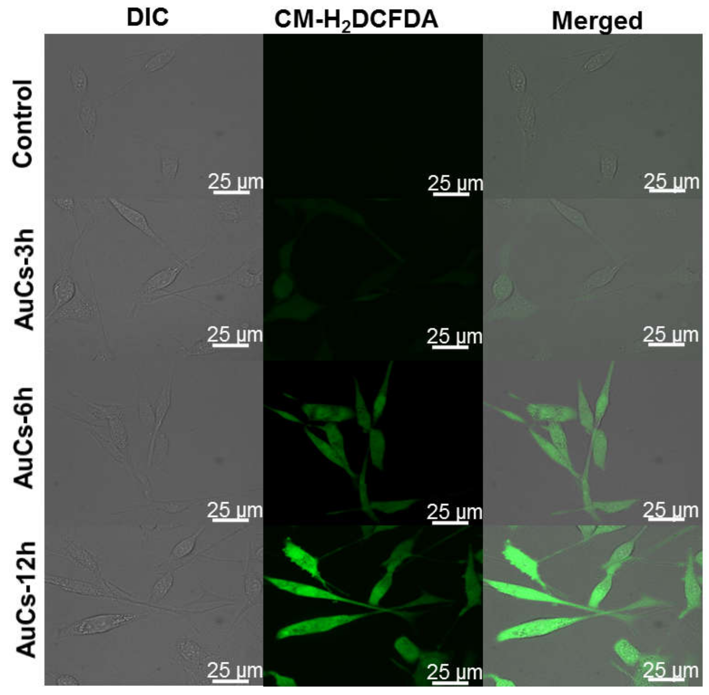 Nanomaterials 08 01040 g005