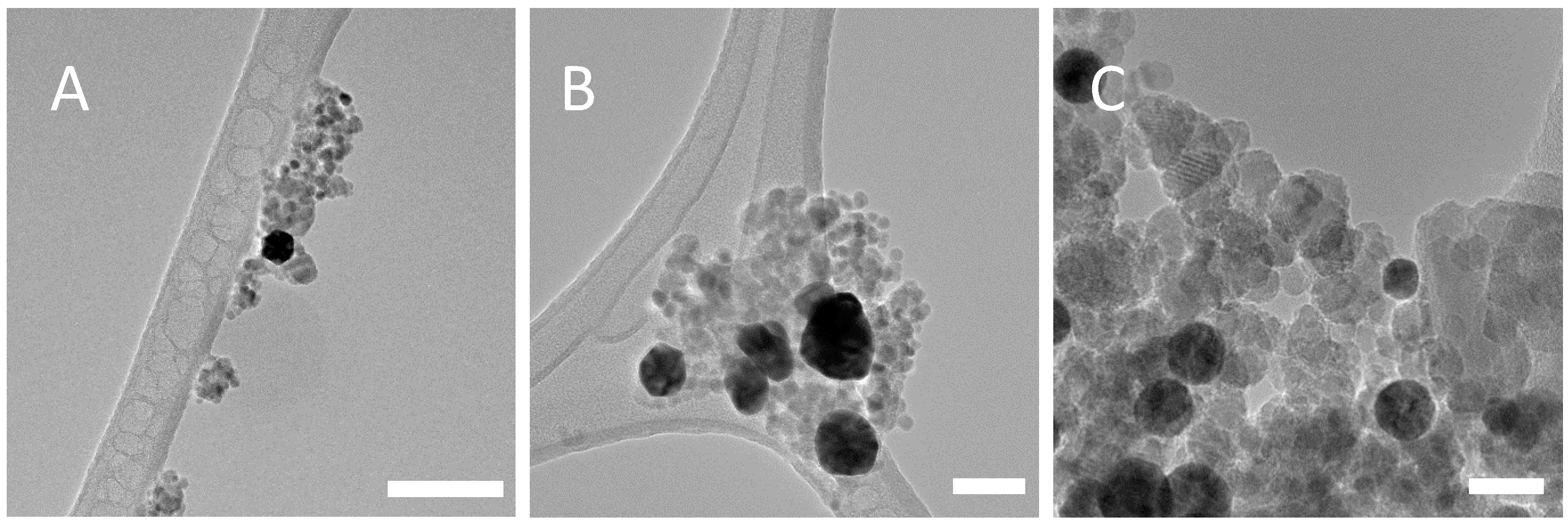 Nanomaterials 08 01044 g005