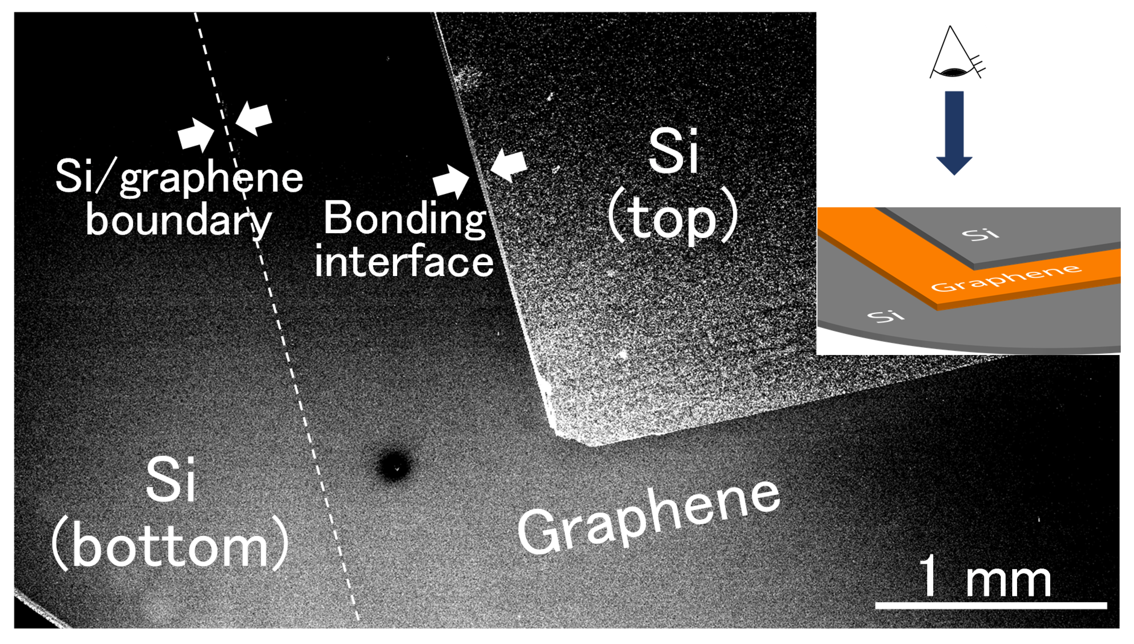 Nanomaterials 08 01048 g003