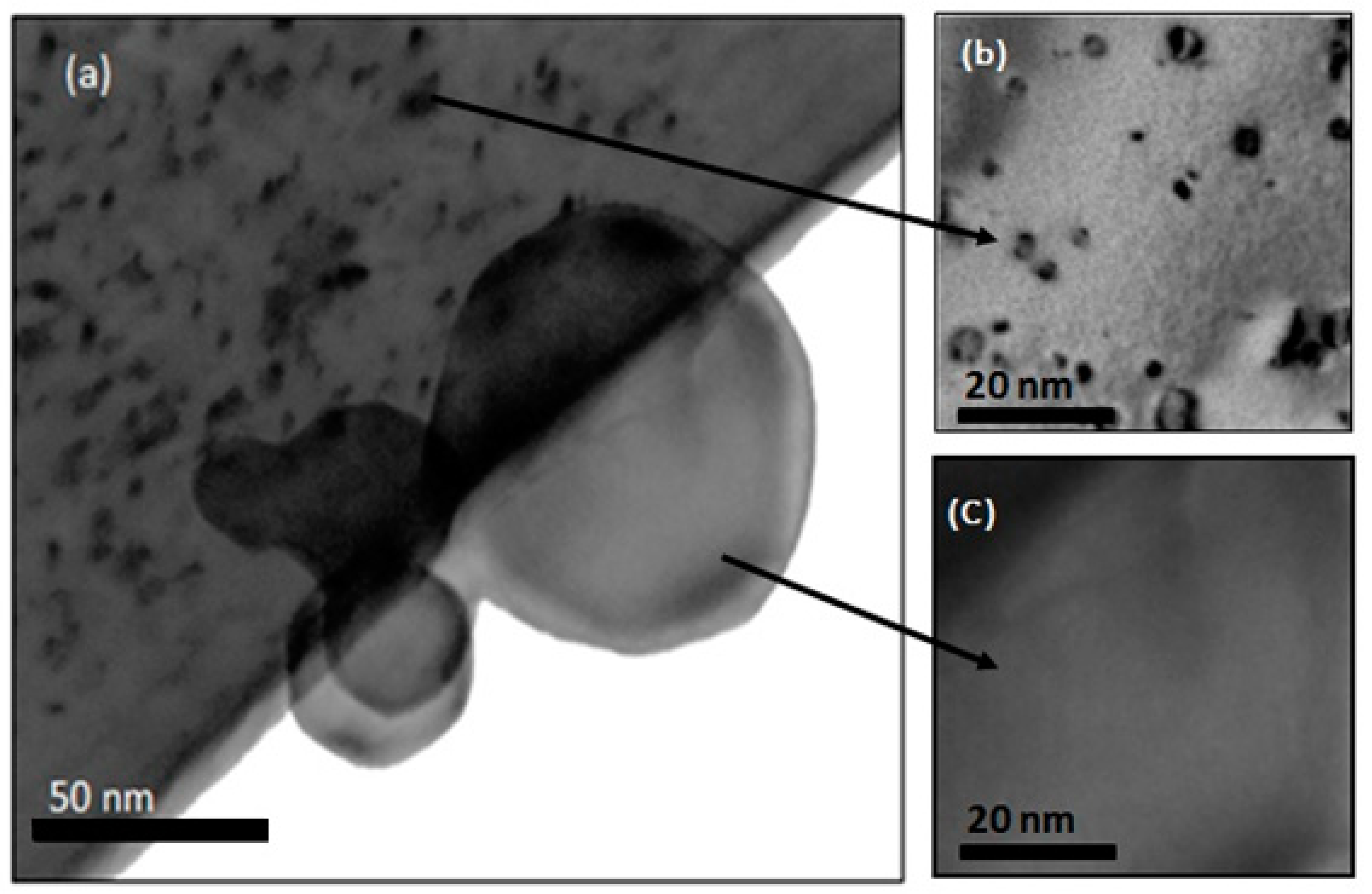 Nanomaterials 08 01052 g007 Nanomaterials 08 01052 g007