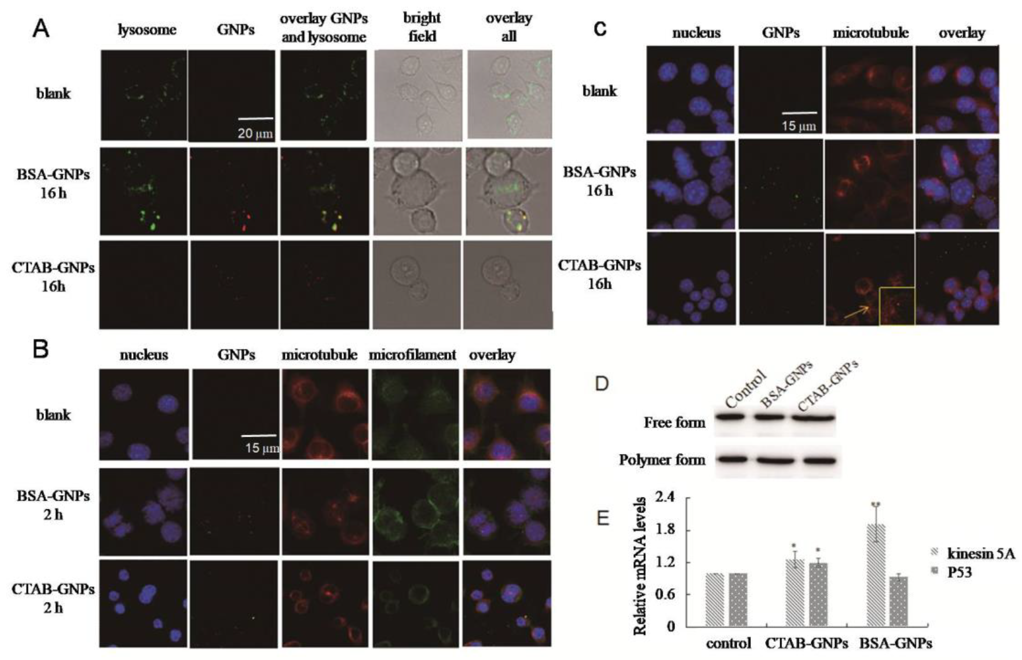 Nanomaterials 08 01063 g003 Nanomaterials 08 01063 g003