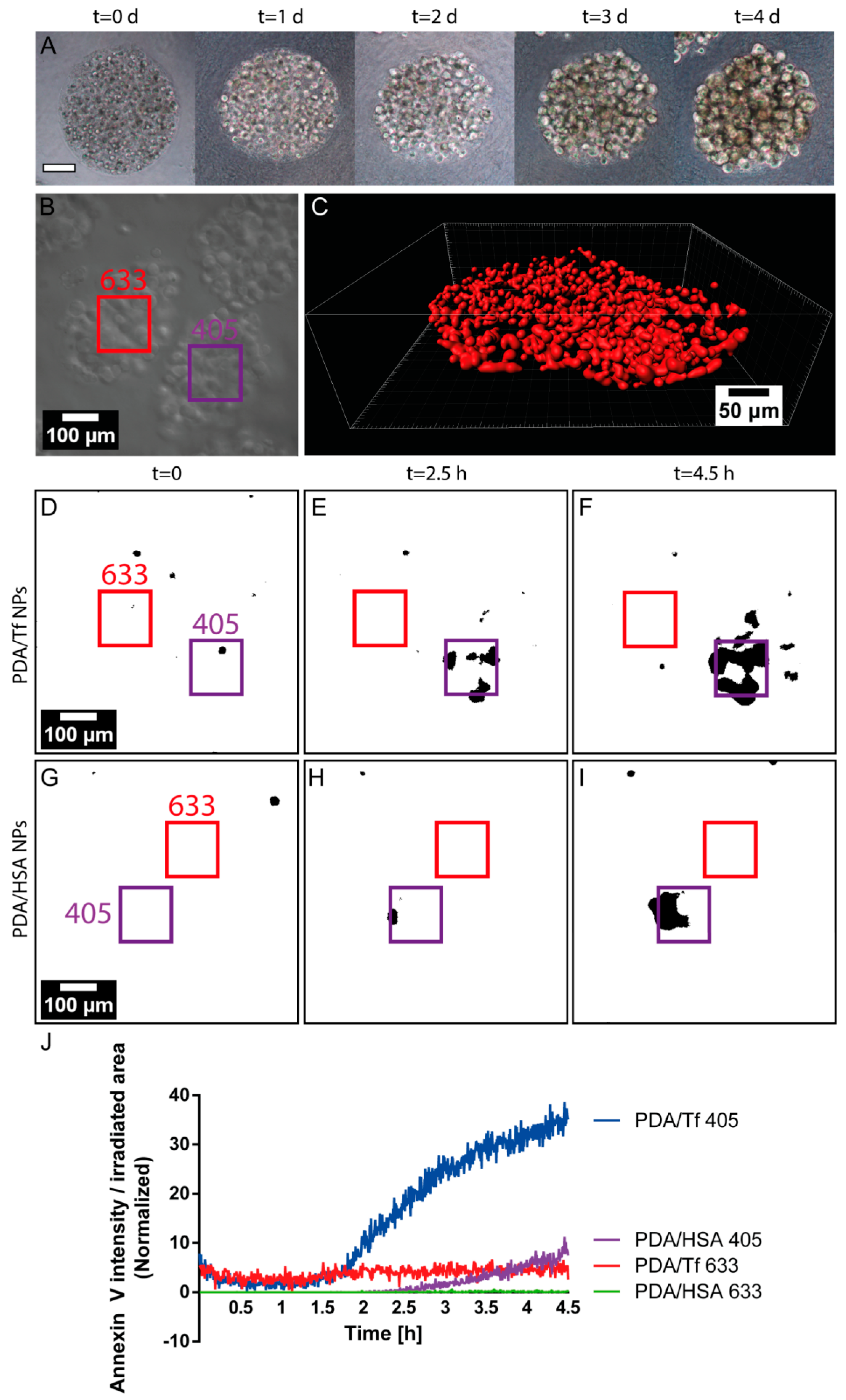 Nanomaterials 08 01065 g008
