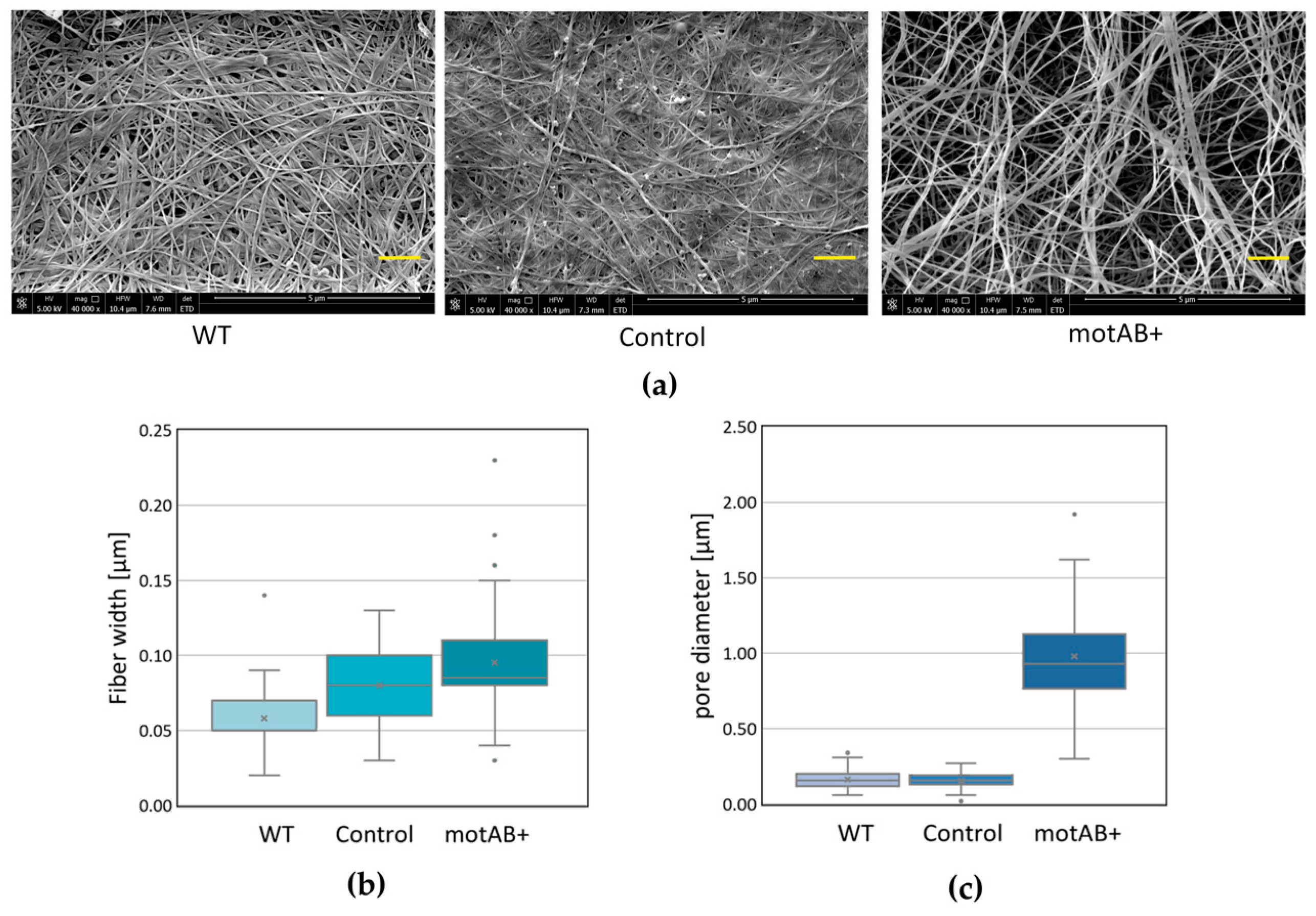 Nanomaterials 08 01066 g002