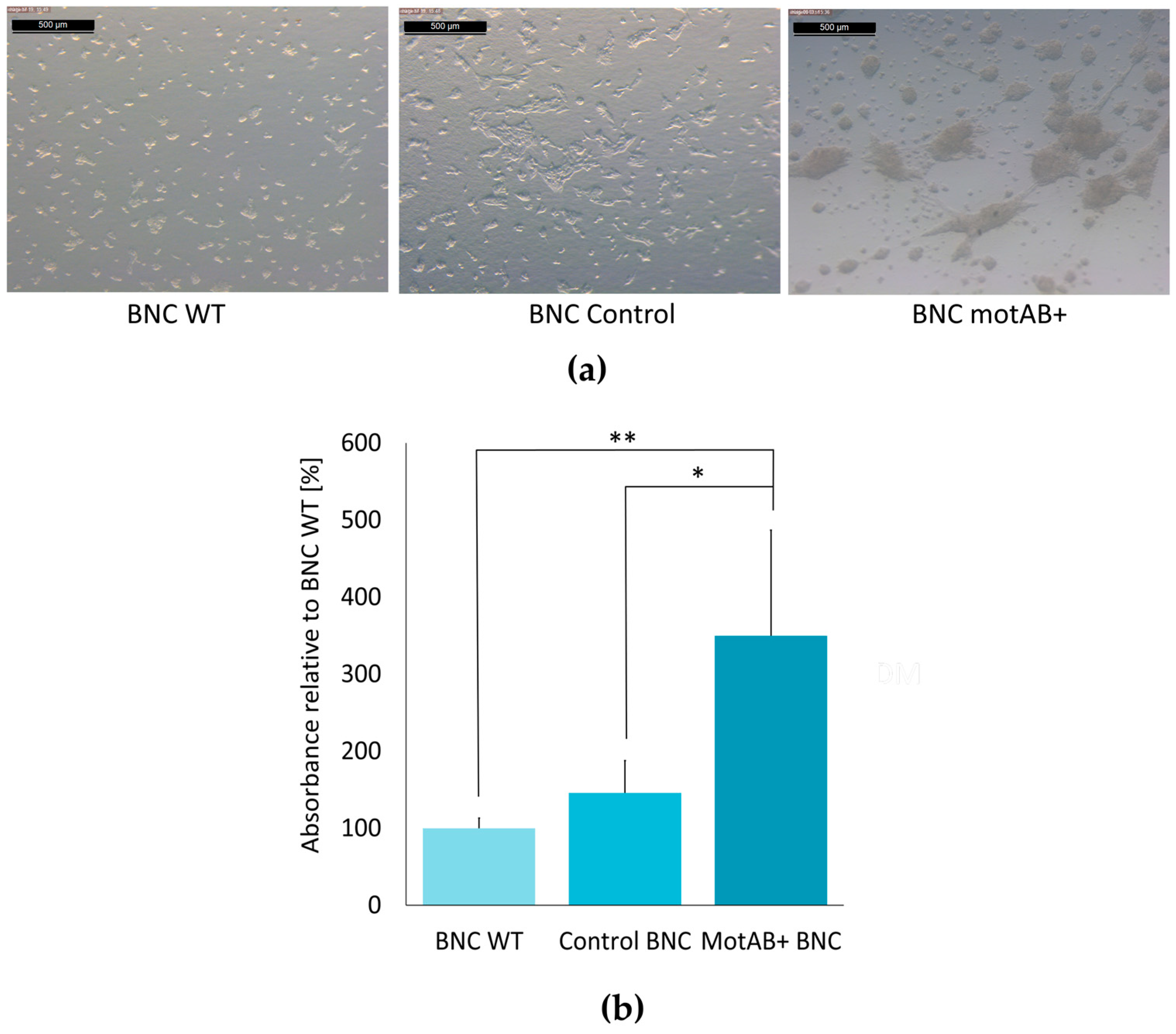 Nanomaterials 08 01066 g005