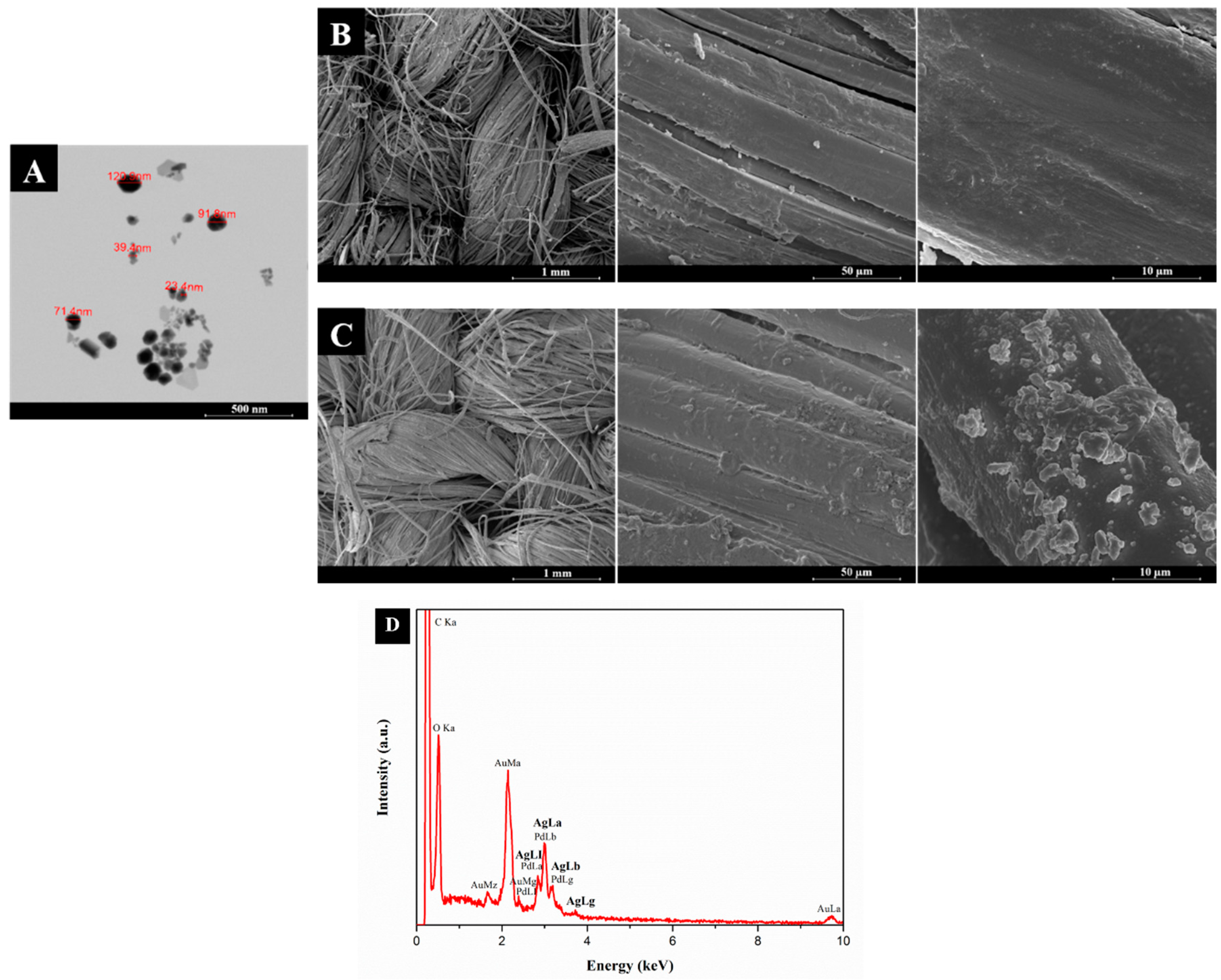 Nanomaterials 08 01069 g003