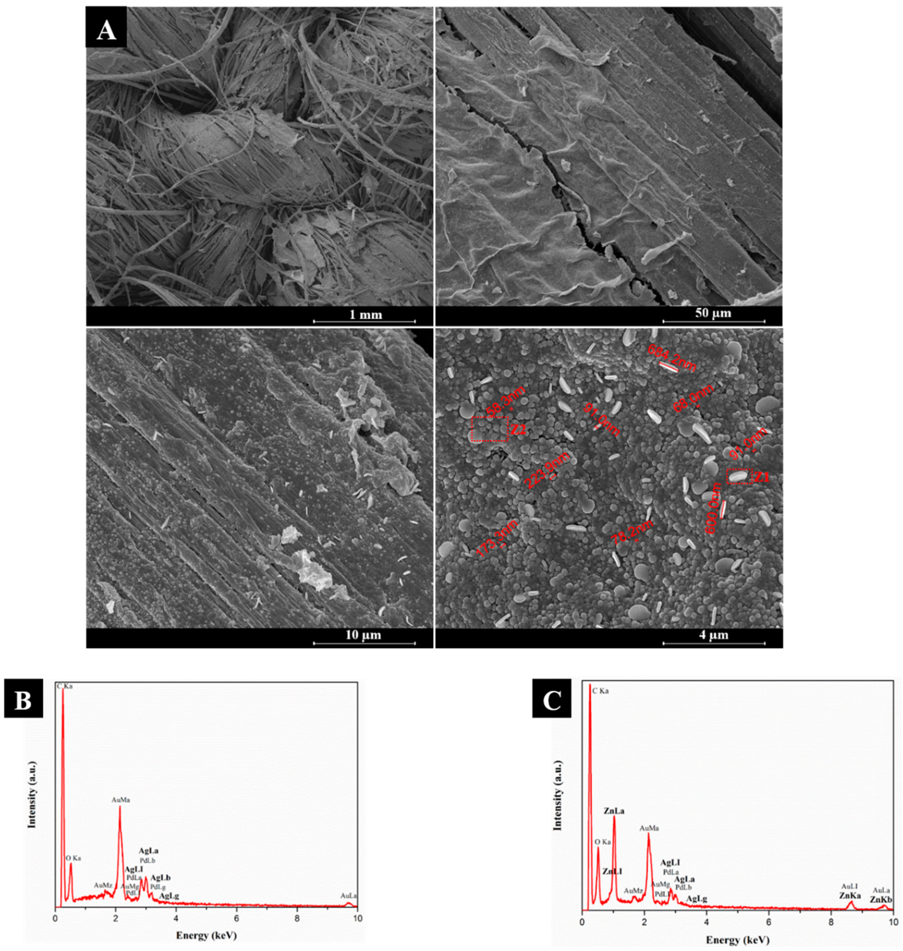 Nanomaterials 08 01069 g004