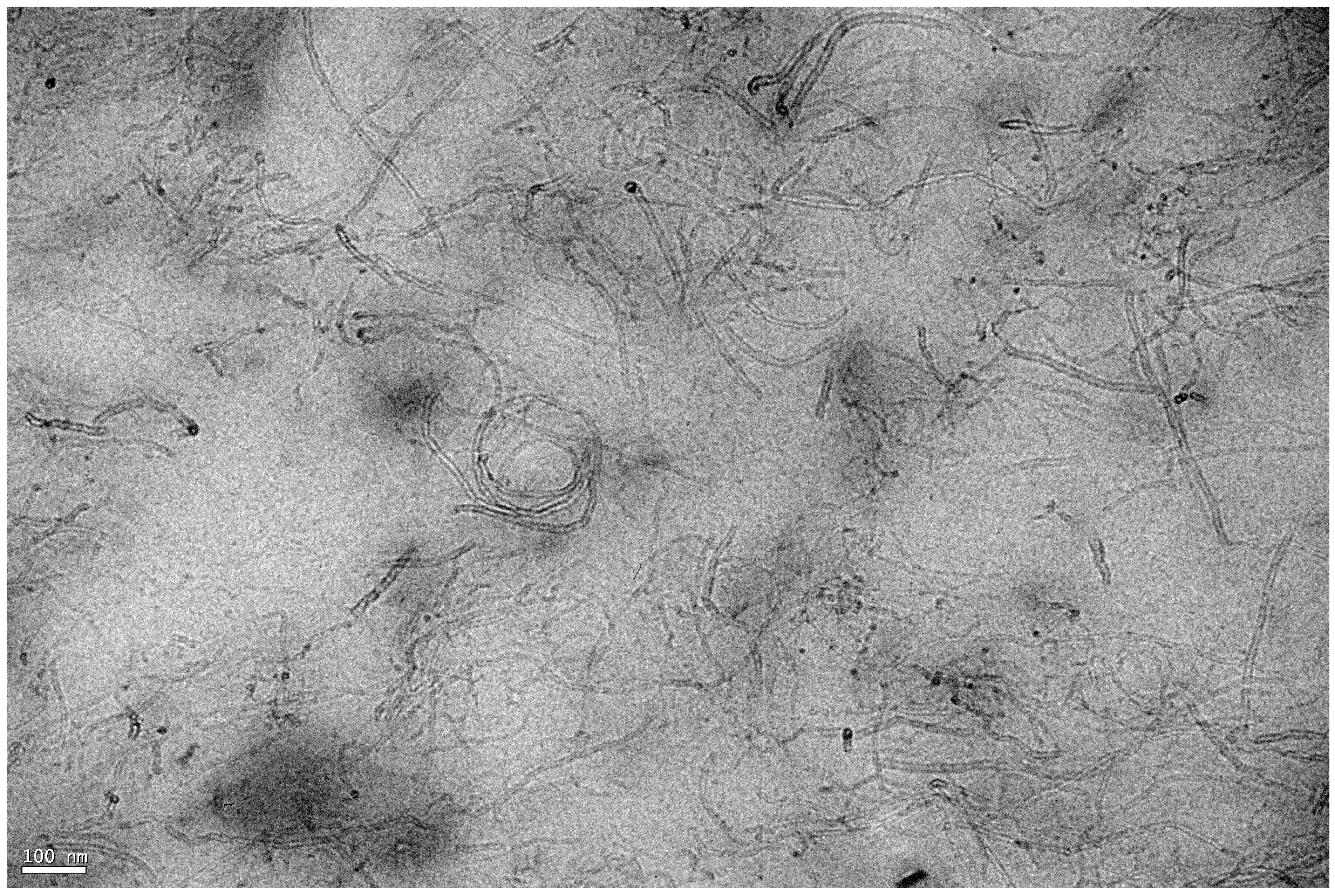 Nanomaterials 09 00012 g010
