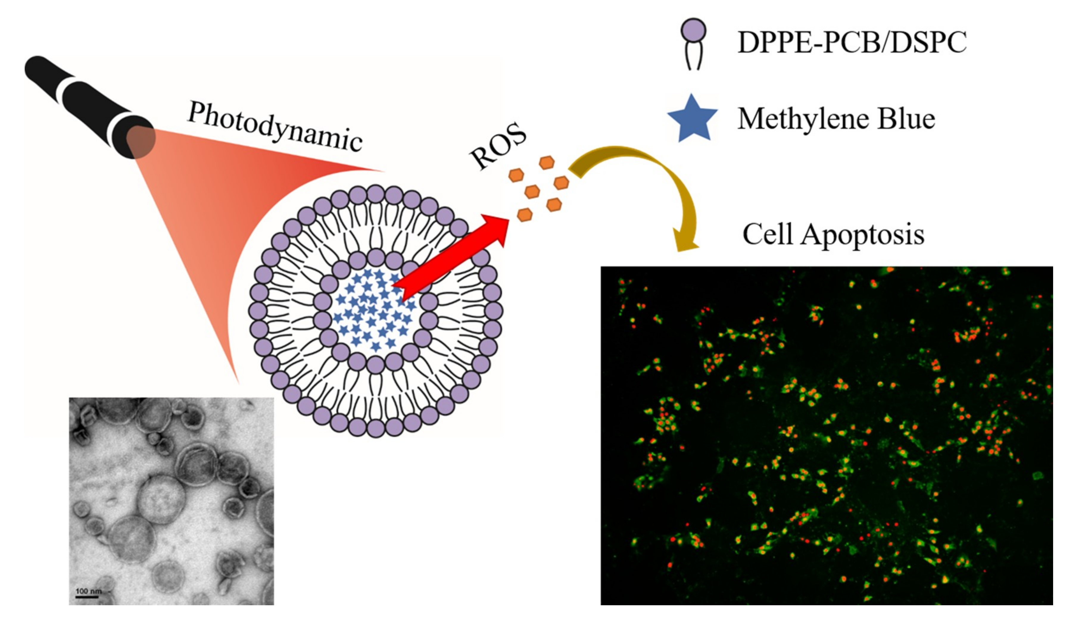 Nanomaterials 09 00014 g001