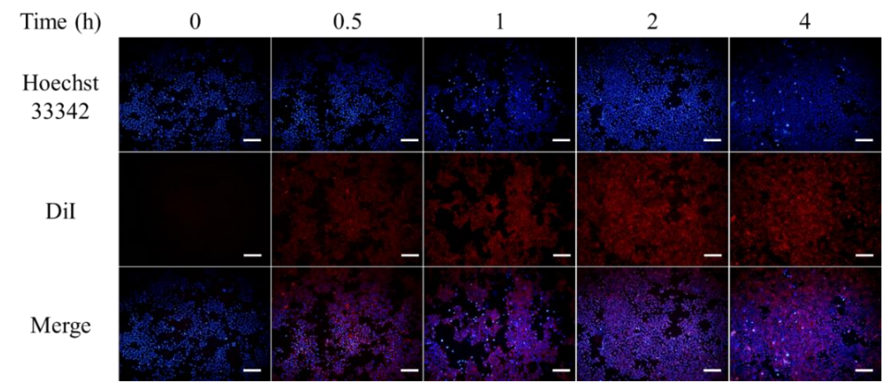 Nanomaterials 09 00014 g005