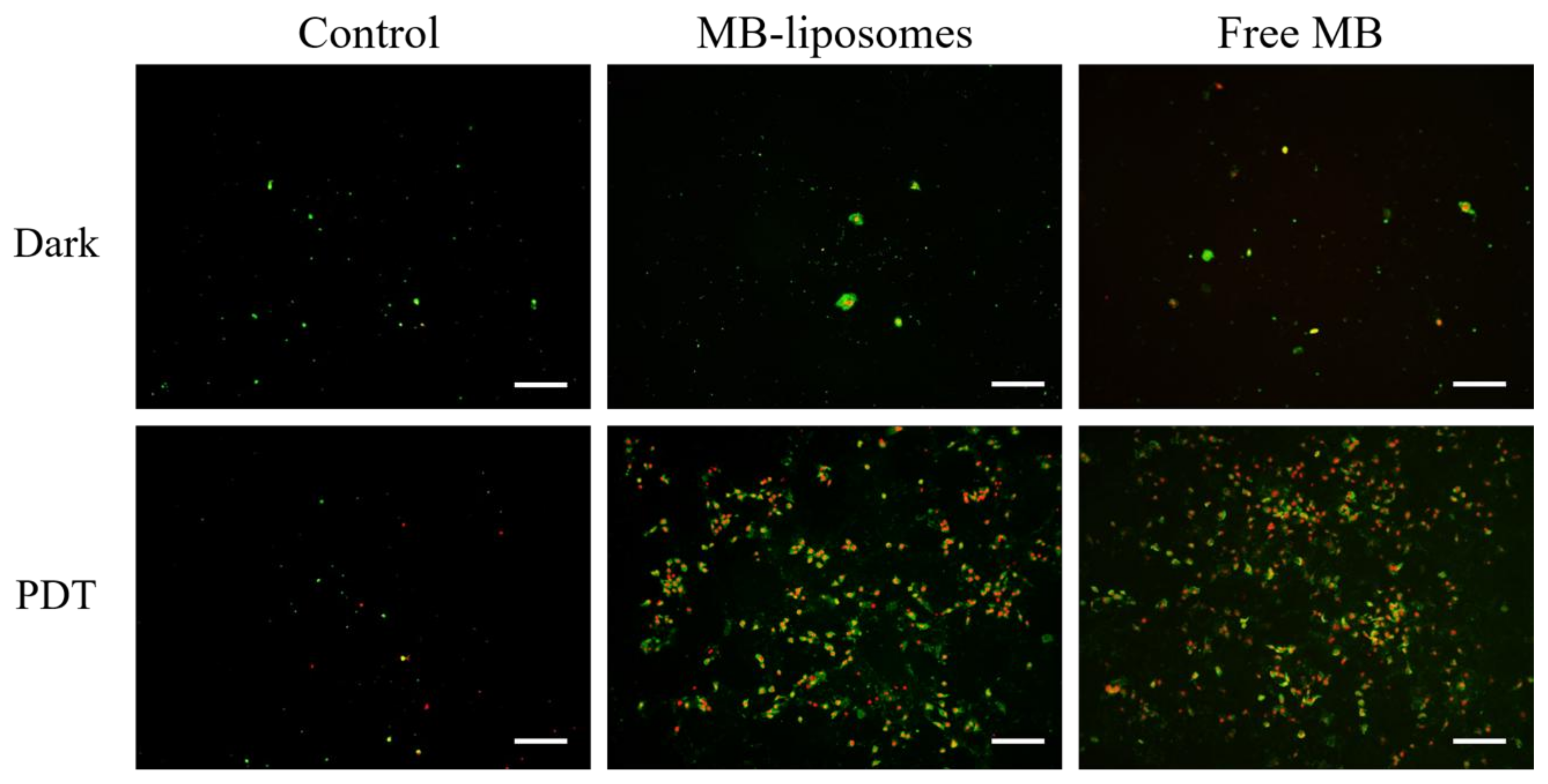 Nanomaterials 09 00014 g006