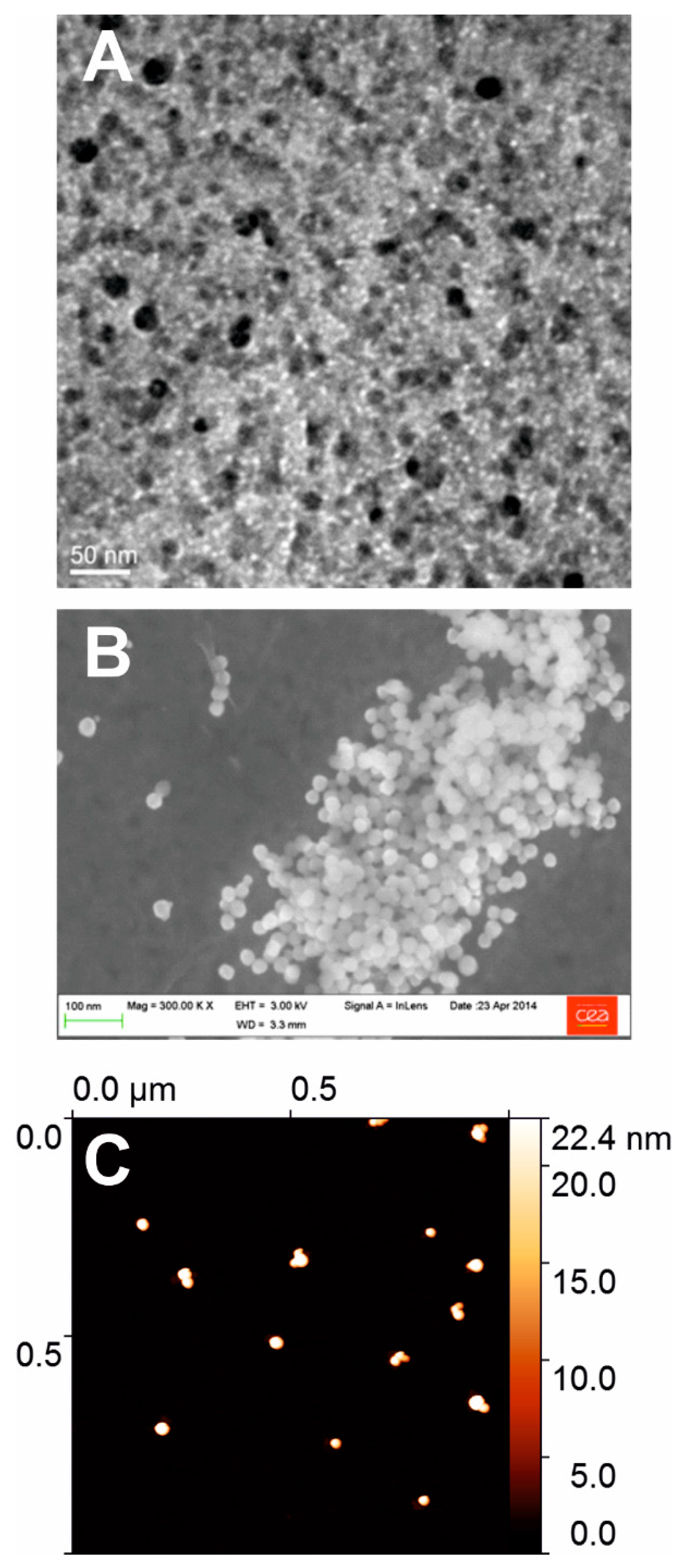 Nanomaterials 09 00018 g001