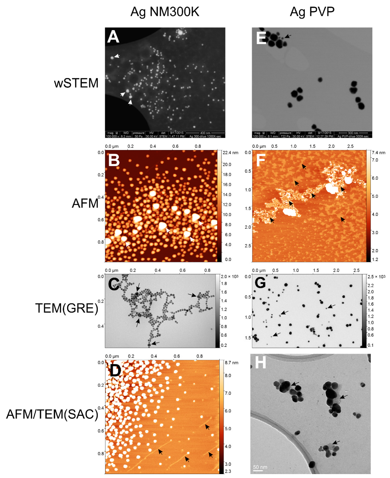 Nanomaterials 09 00018 g005