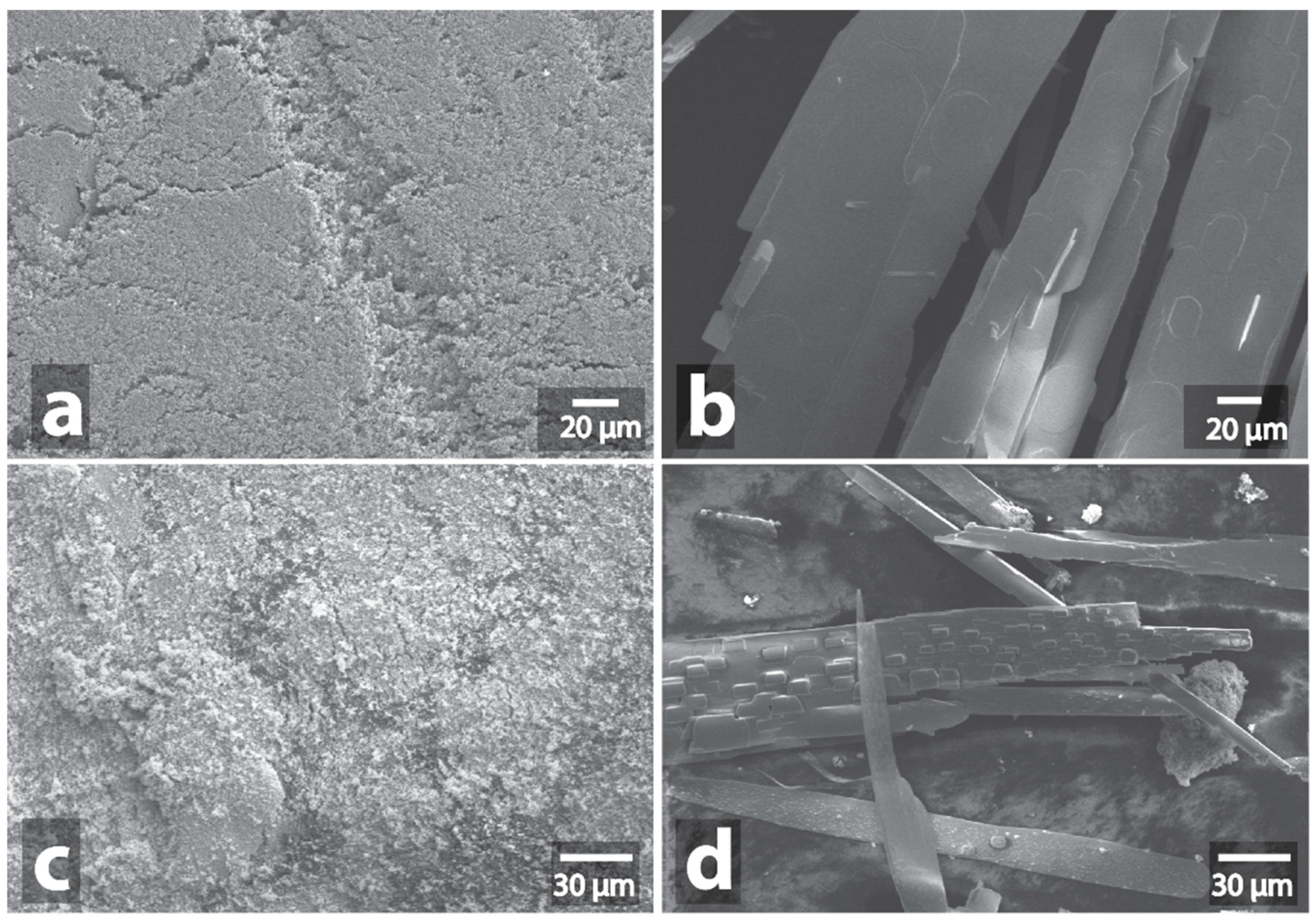 Nanomaterials 09 00019 g007