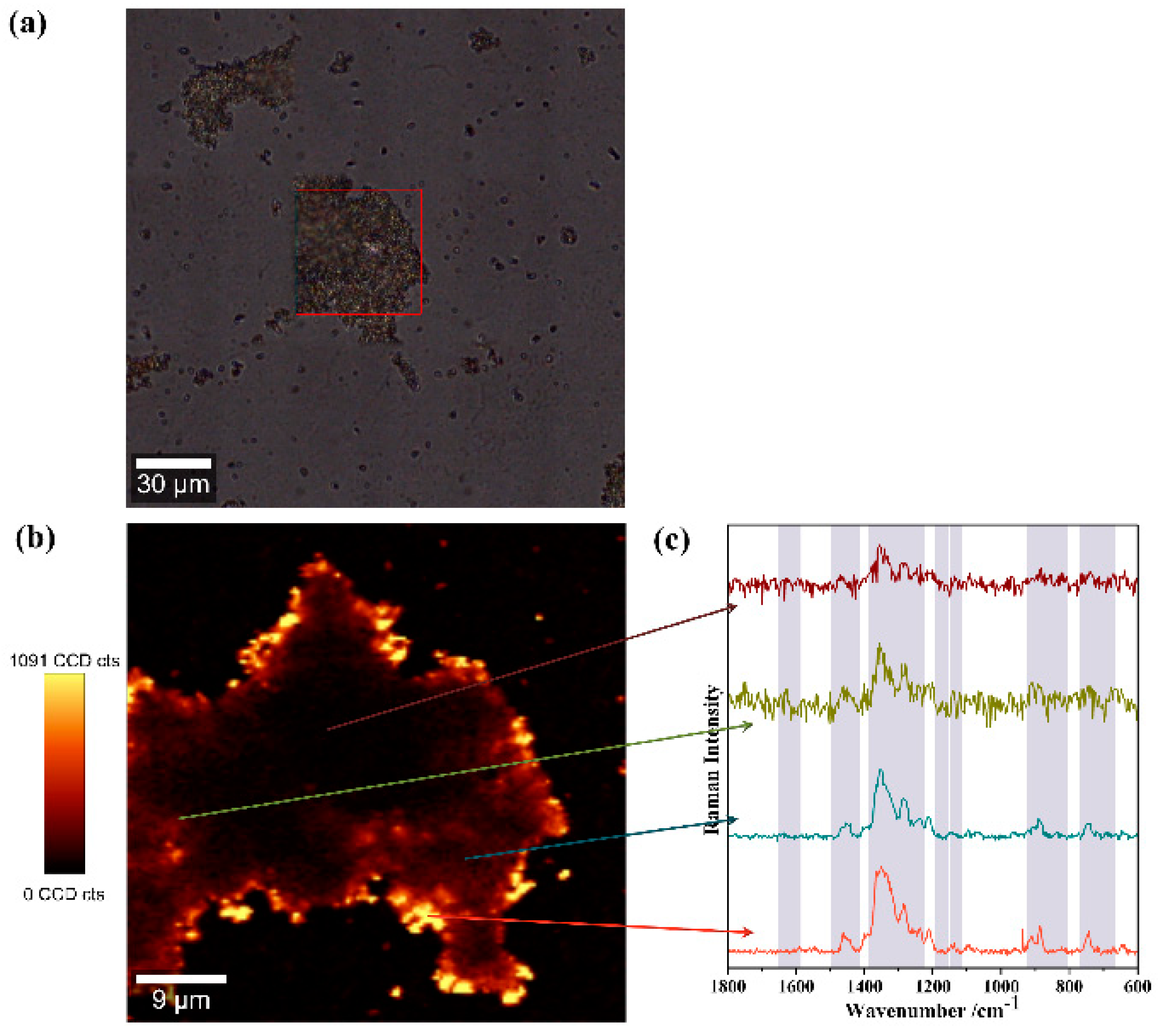 Nanomaterials 09 00031 g009